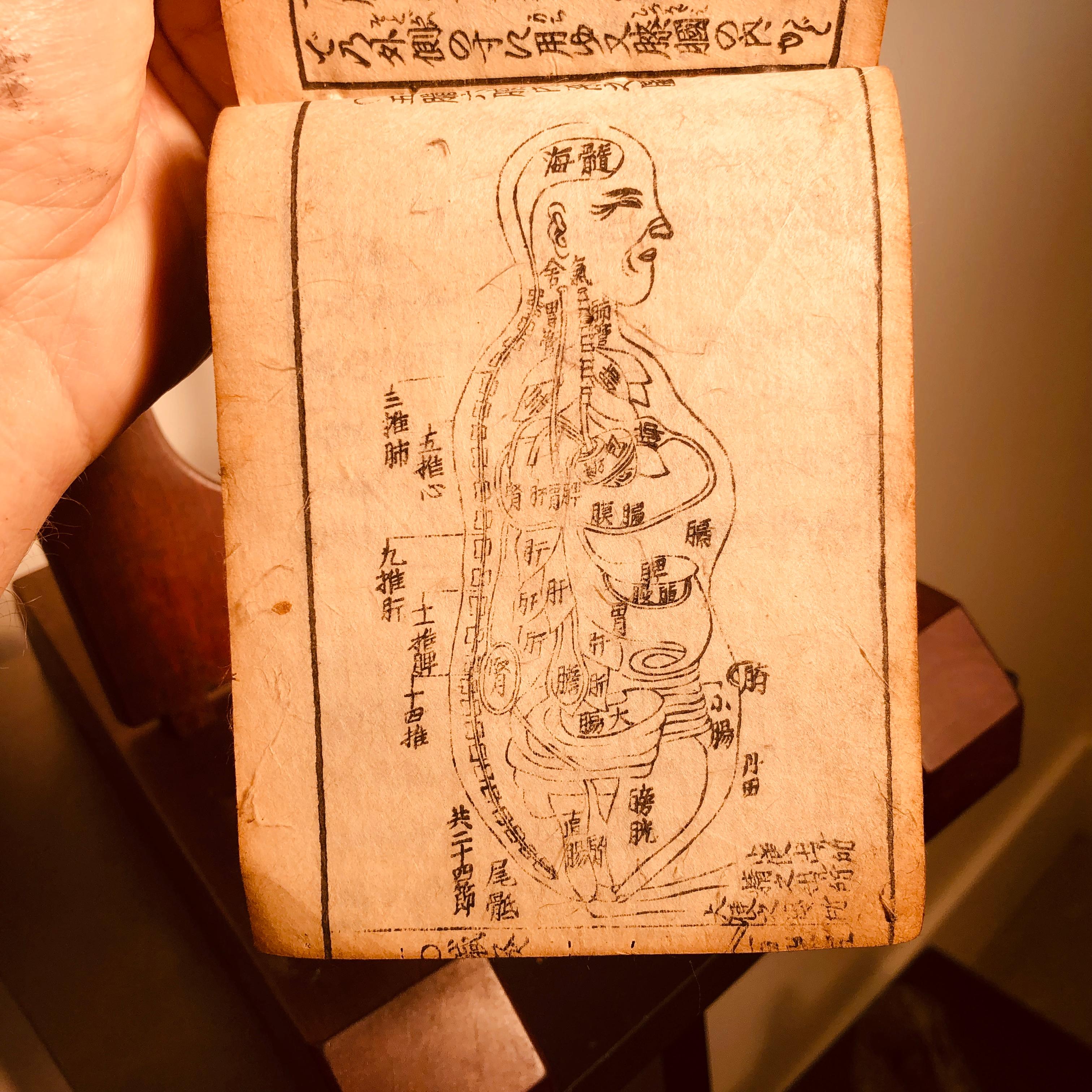Important Chinese Acupuncture Antique Woodblock Hand Book, 19th Century Prints 1