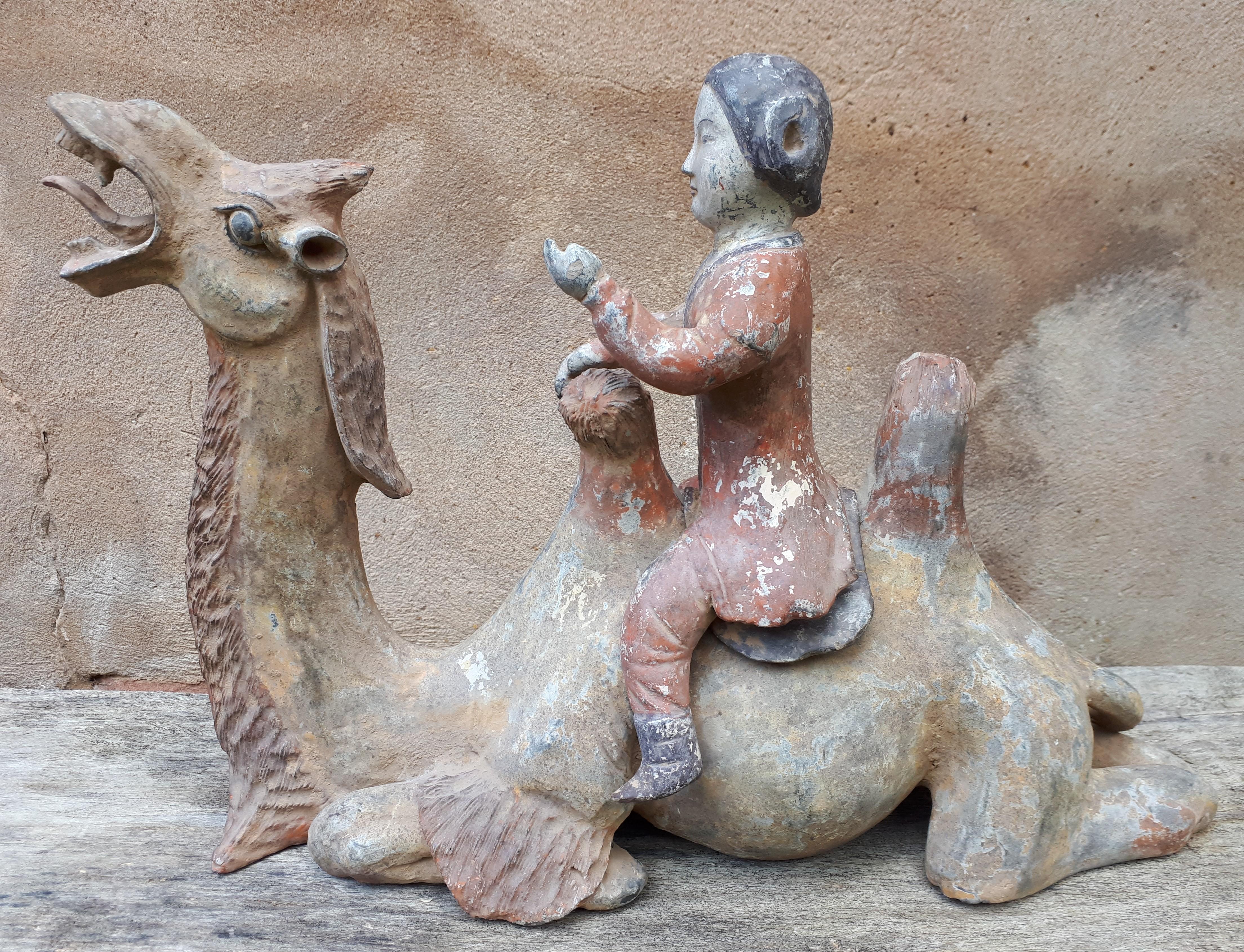 Important chinese terracotta sculpture of a camel, China Tang dynasty For Sale 3