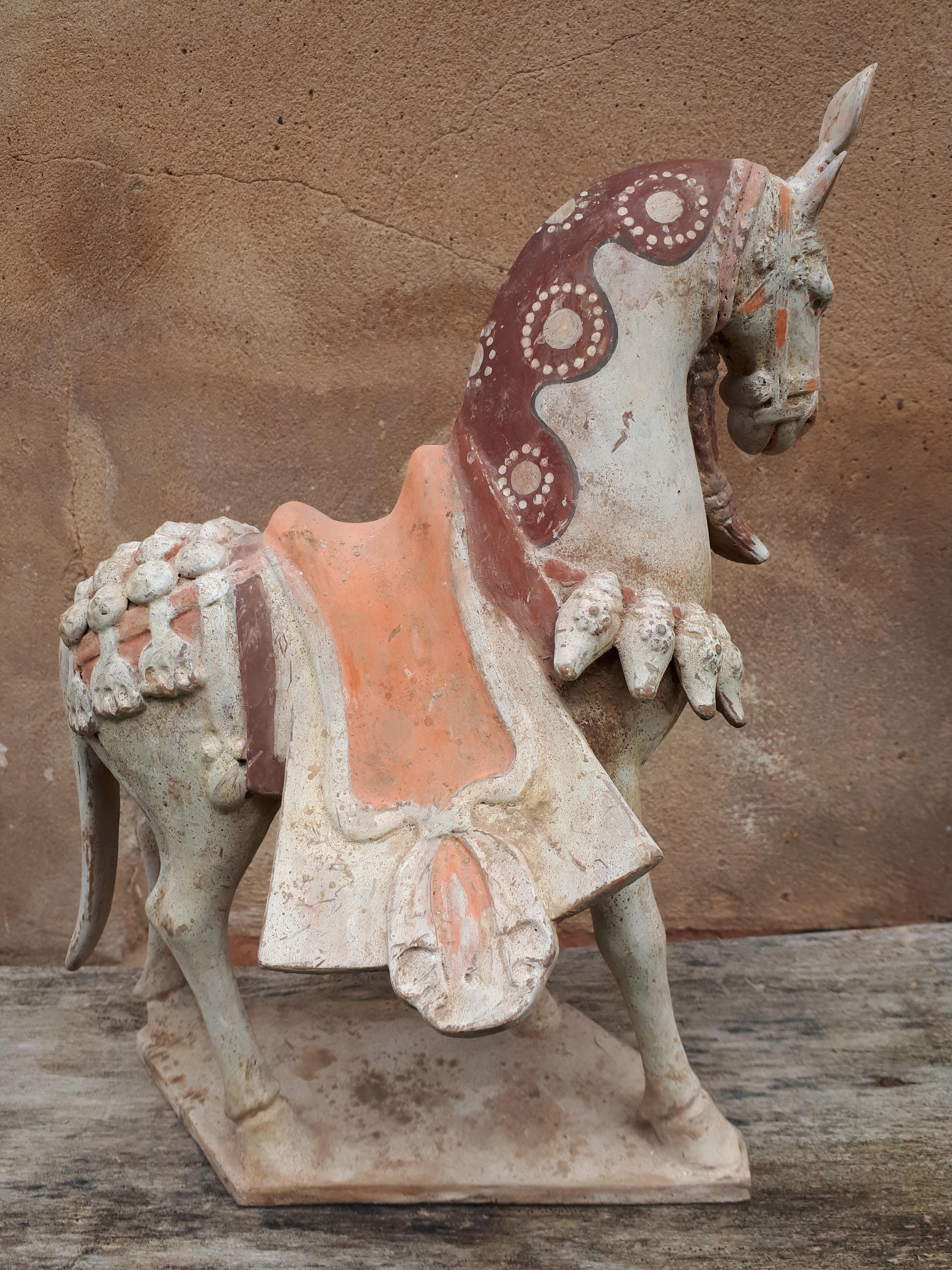 Important chinese terracotta sculpture of a horse, China Northern Wei dynasty For Sale 2