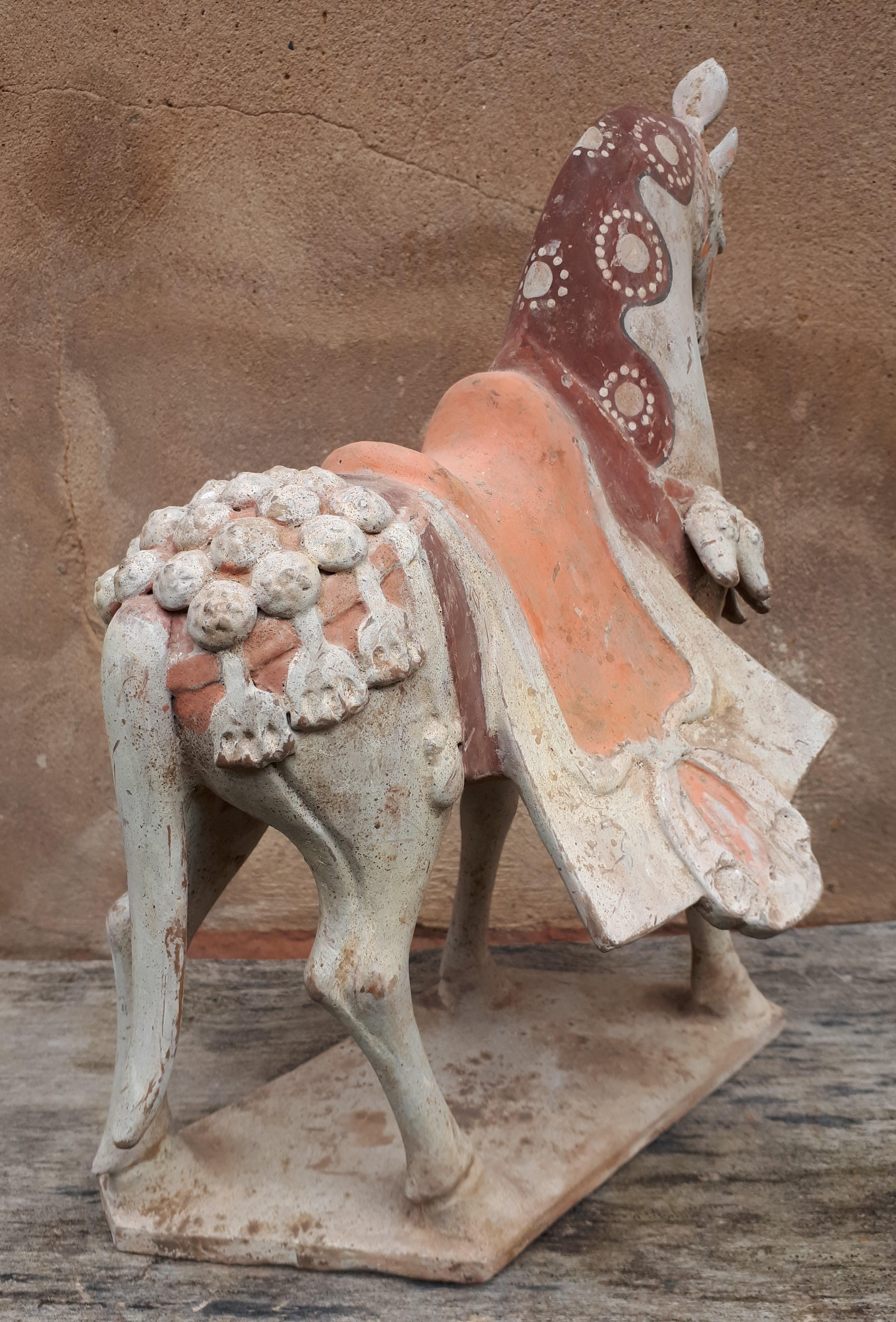 Important chinese terracotta sculpture of a horse, China Northern Wei dynasty For Sale 5