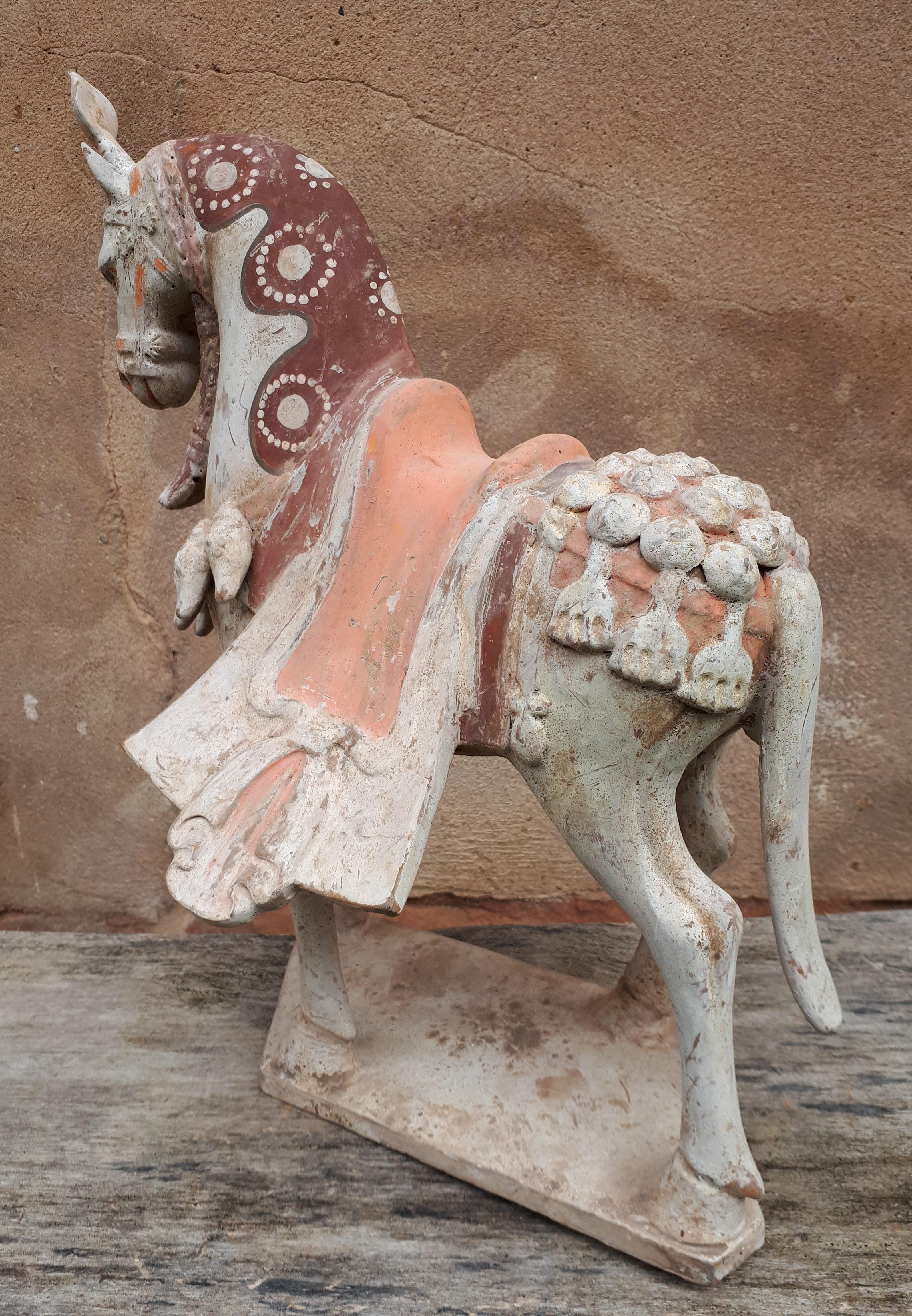 Important chinese terracotta sculpture of a horse, China Northern Wei dynasty For Sale 7