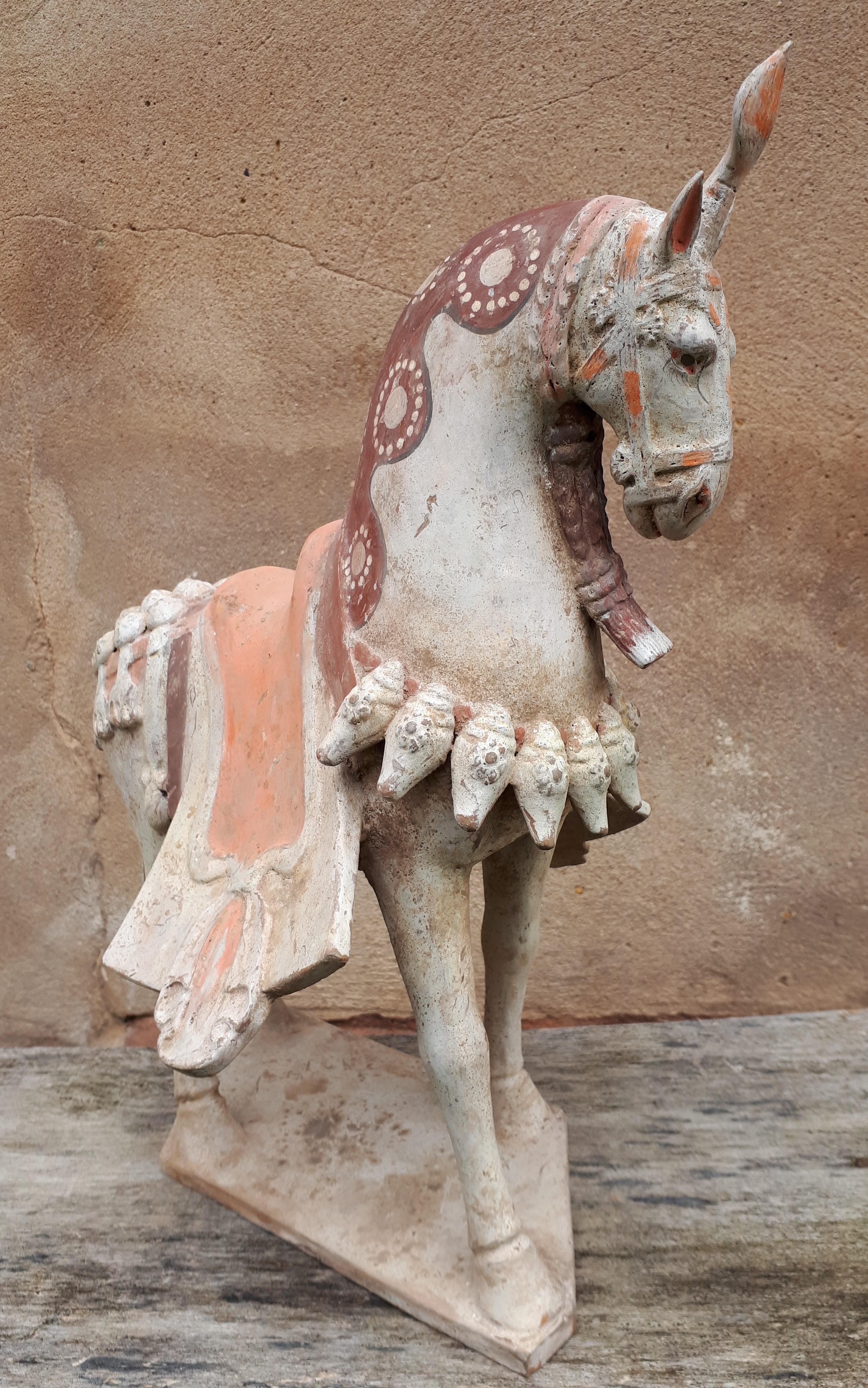 Terracotta Important chinese terracotta sculpture of a horse, China Northern Wei dynasty For Sale
