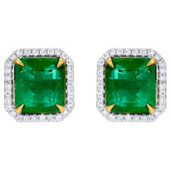 Wichtige Smaragd-Ohrstecker Diamant-Halo 7,5 Karat insgesamt 18K Gold