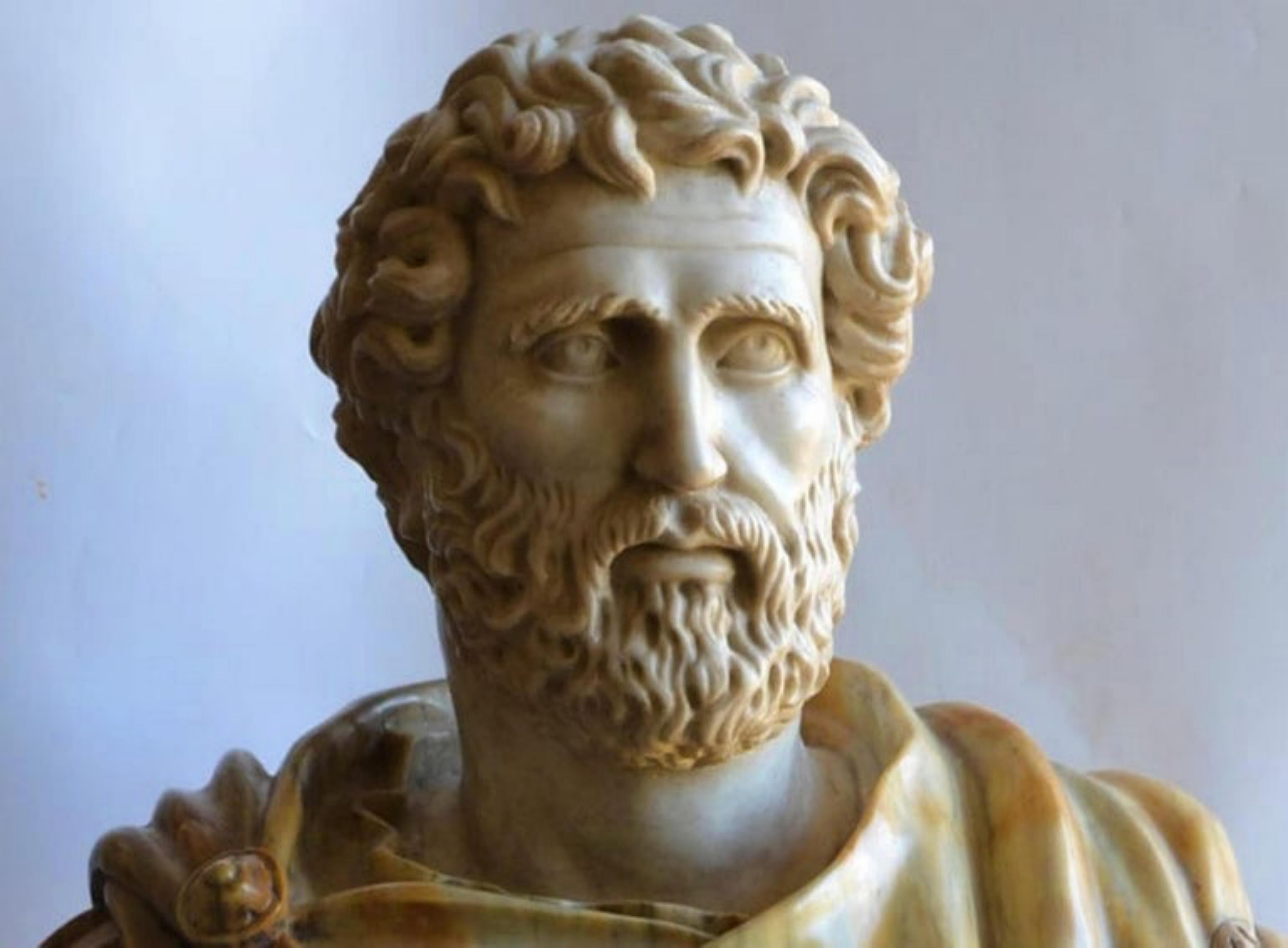 Italienische bedeutende italienische Büste „Antonino Pio“ aus Carrara-Marmor aus dem 19. Jahrhundert im Zustand „Gut“ im Angebot in Madrid, ES