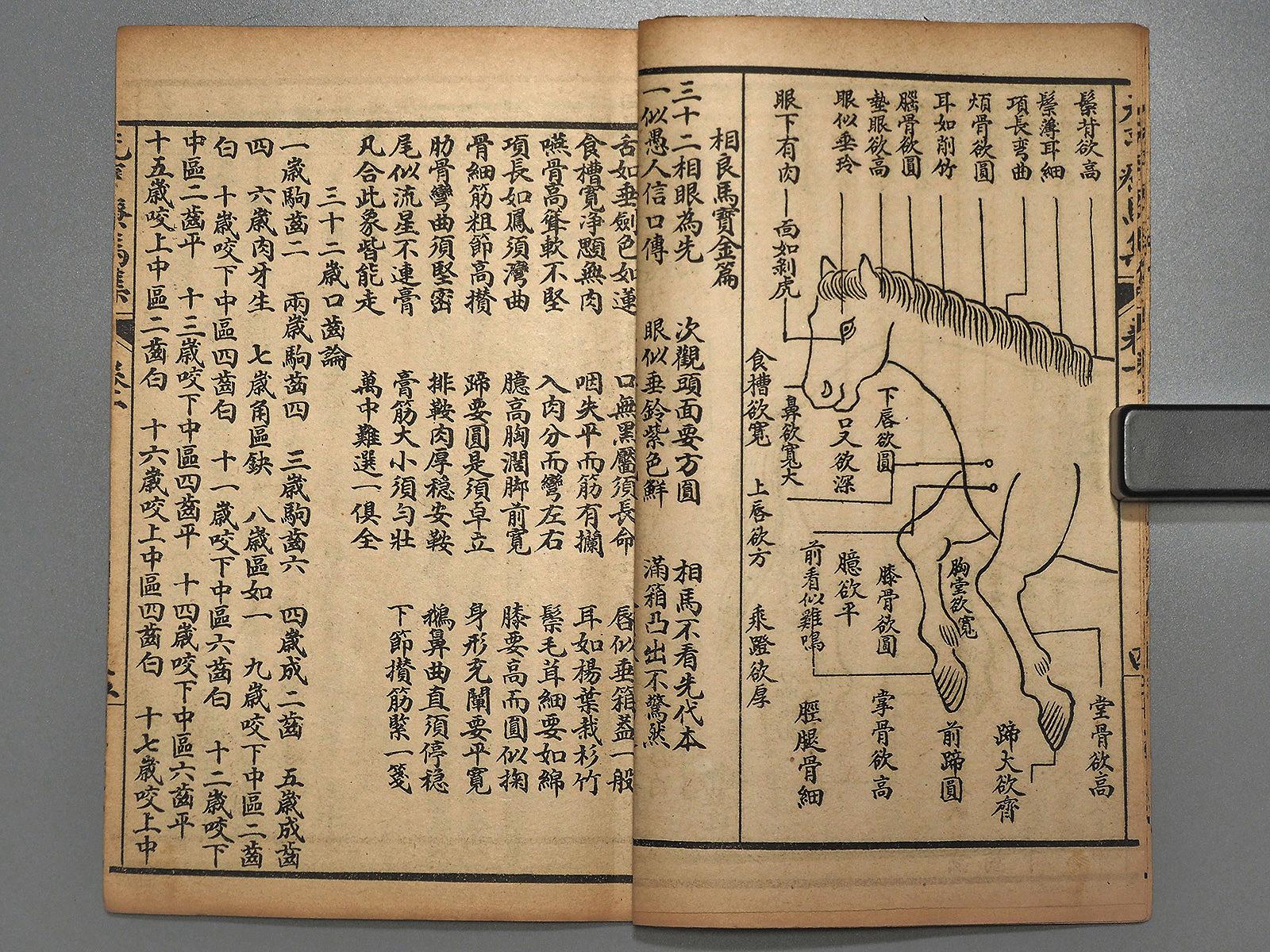 Paper Important Japan Antique 
