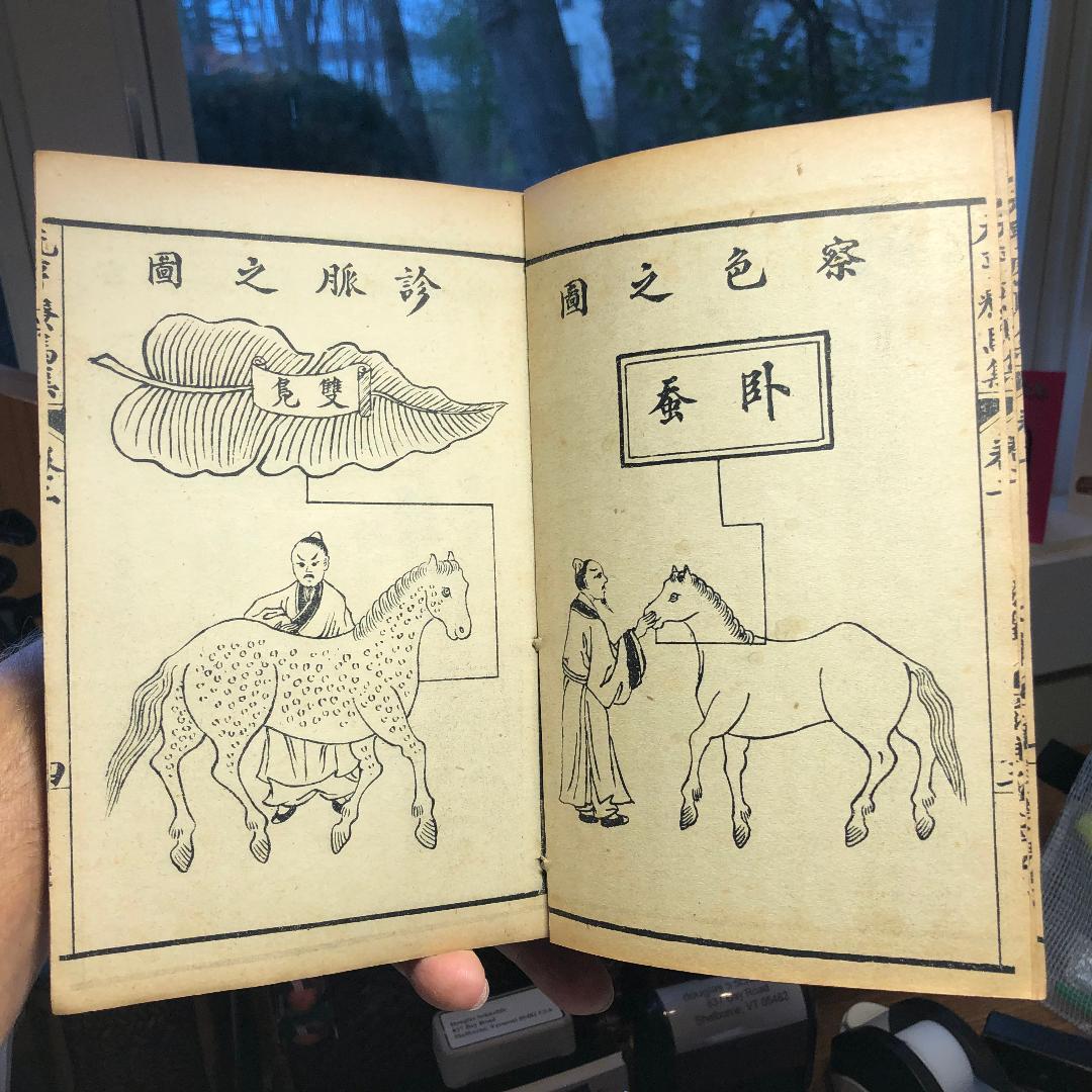 Rare horse veterinary medicine woodblock print book

Complete five volume set with original 