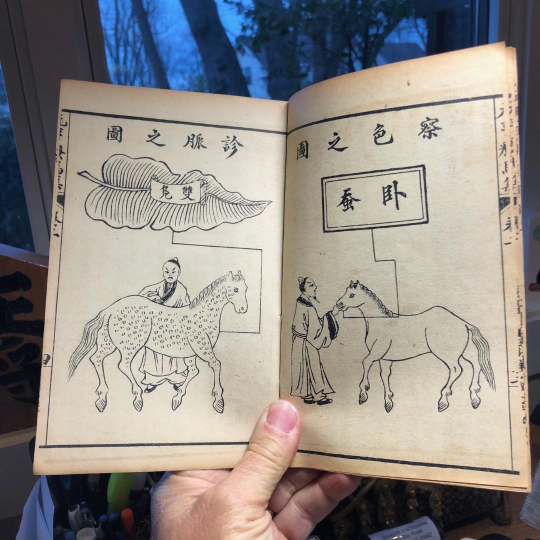 antique horse books