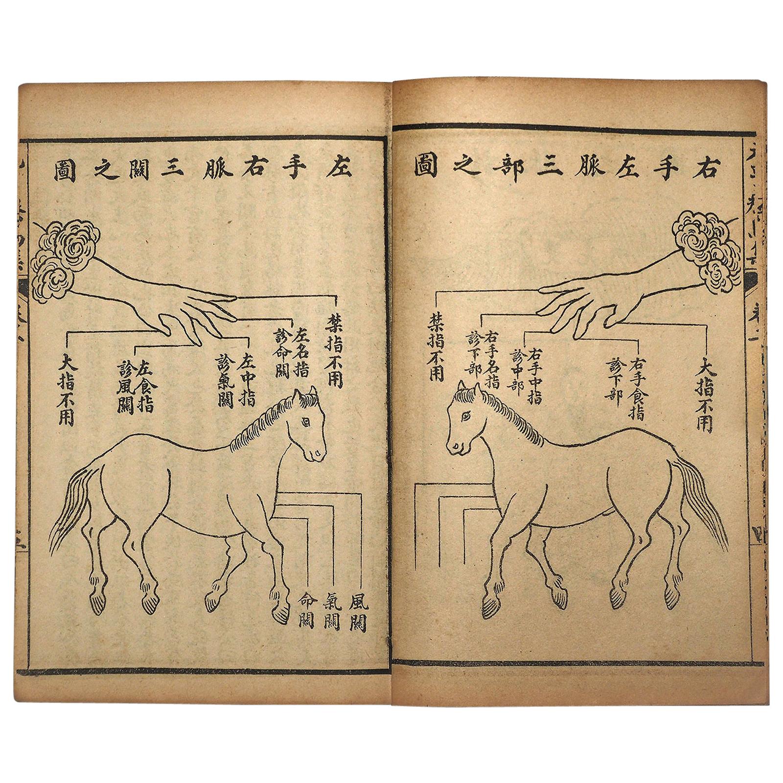 Important Japan Antique "Horse Veterinary" Complete Woodblock 5 Book Set