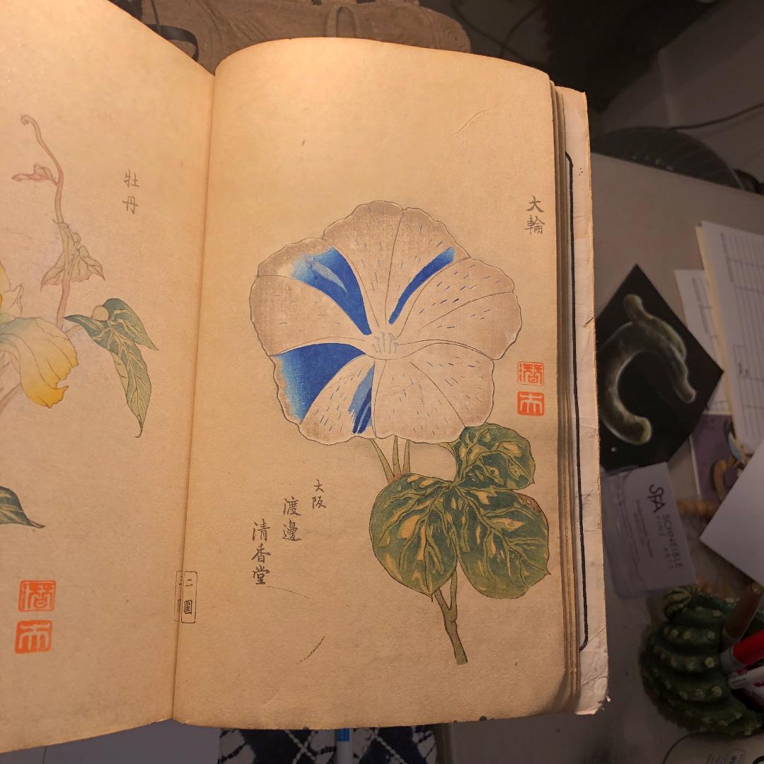 Meiji Important Japan Antique Woodblock Morning Glories 46 Vibrant Color Prints, 1903