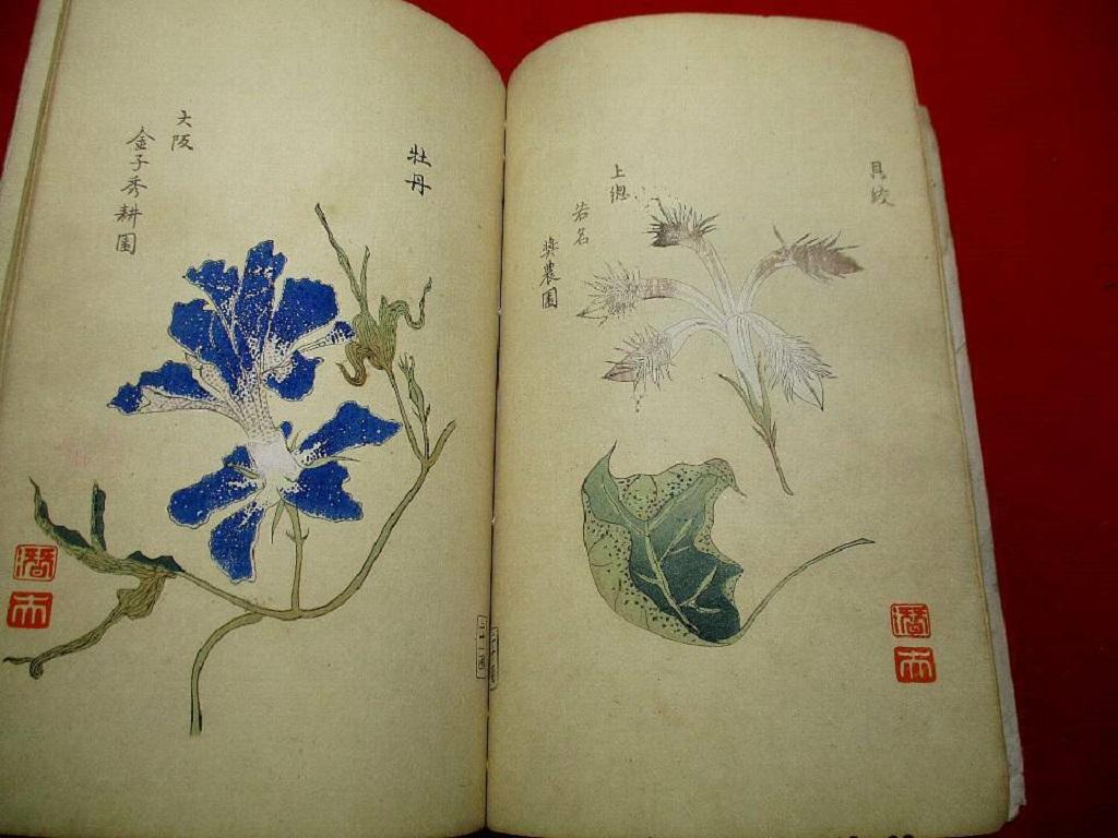 20th Century Important Japan Antique Woodblock Morning Glories 46 Vibrant Color Prints, 1903