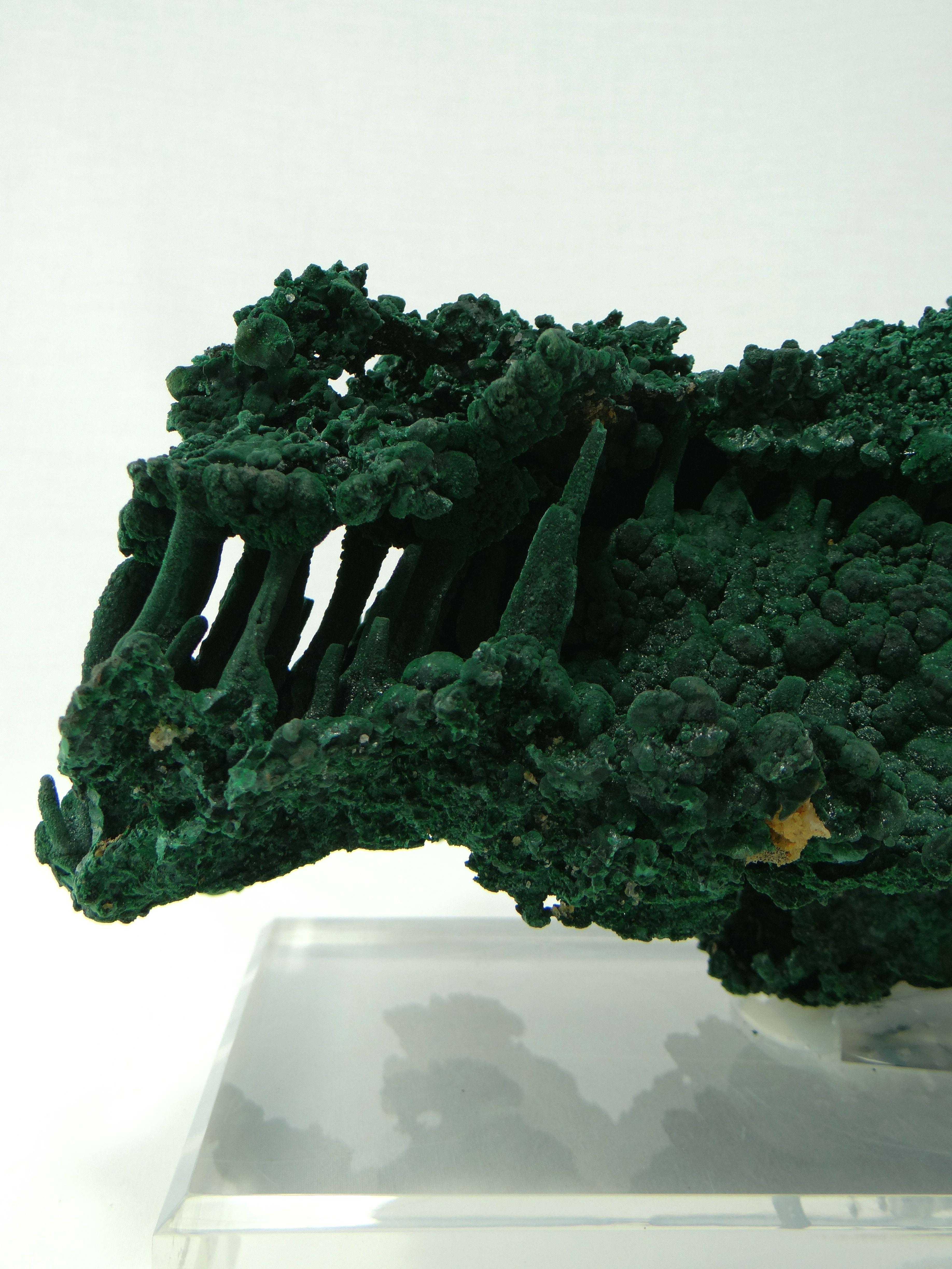 Important Malachite Stalactite from Congo, 1990 For Sale 5
