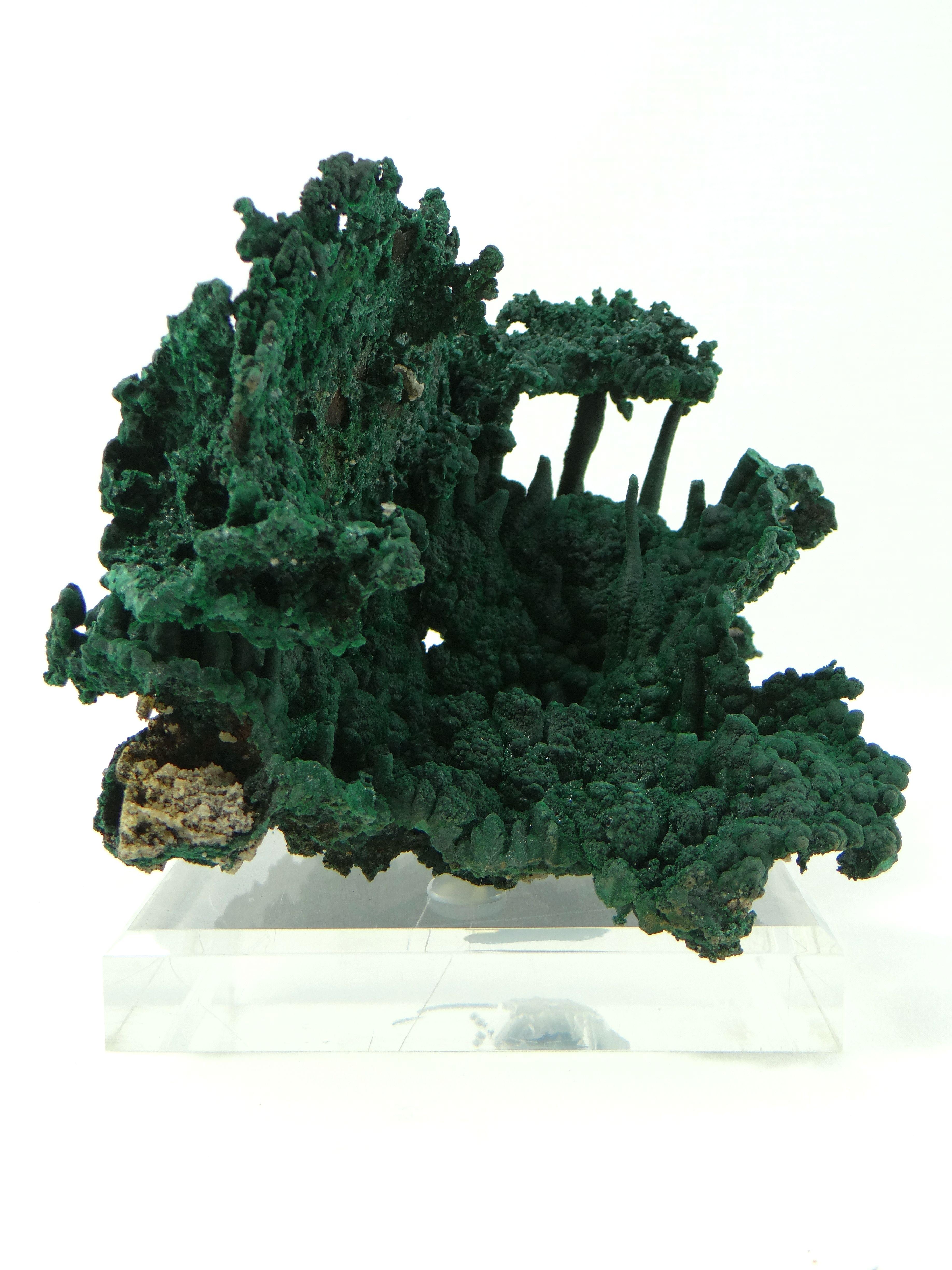 Important Malachite Stalactite from Congo, 1990 For Sale 8