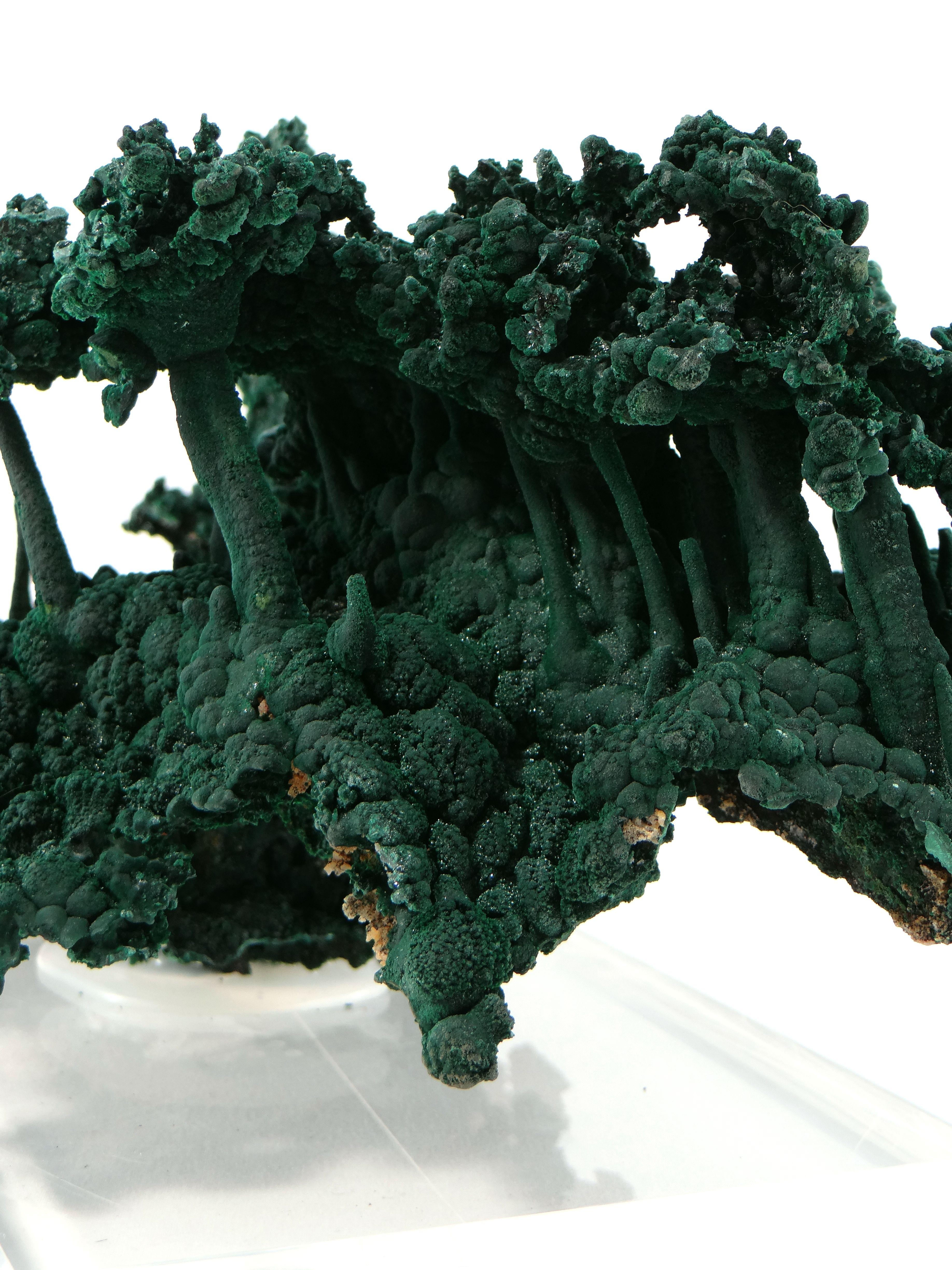 Important Malachite Stalactite from Congo, 1990 For Sale 10