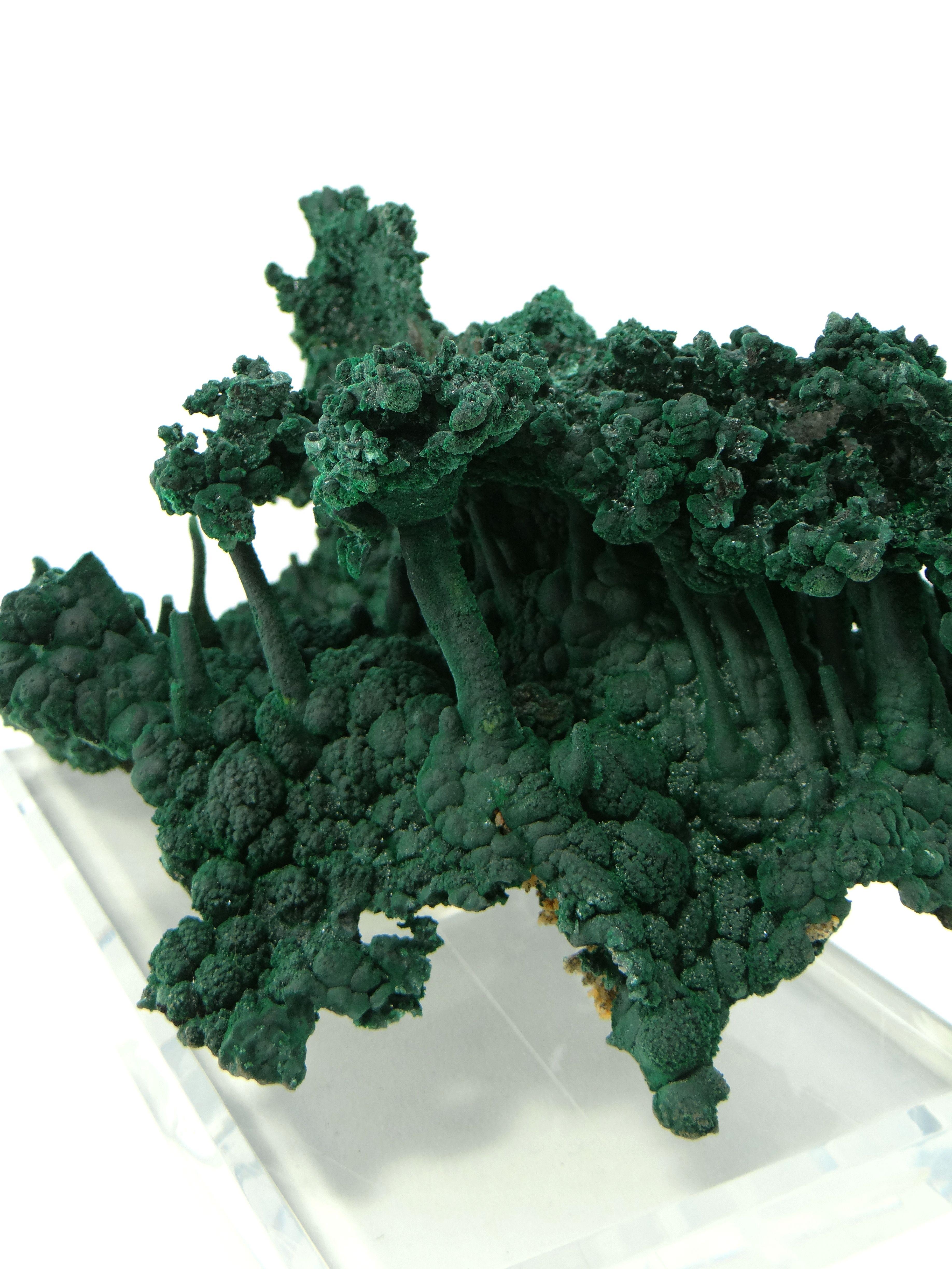 Important Malachite Stalactite from Congo, 1990 For Sale 11
