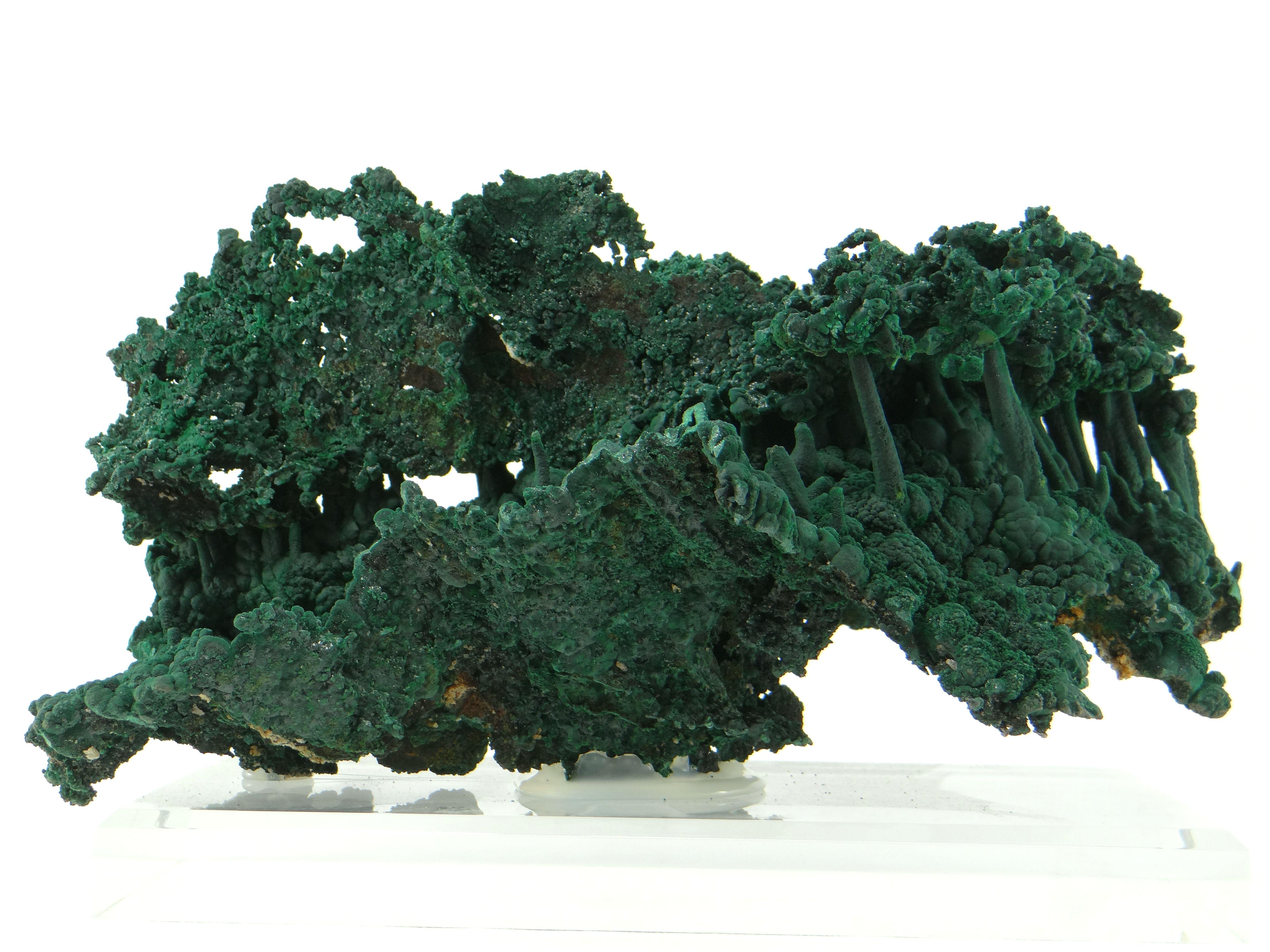 Very nice and important malachite stalactite Congo, mine Mindouli in the province of Katanga (Shaba), Democratic Republic of Congo.
The concretions are superb. The surface is composed of a multitude of microscopic brilliant malachite crystals