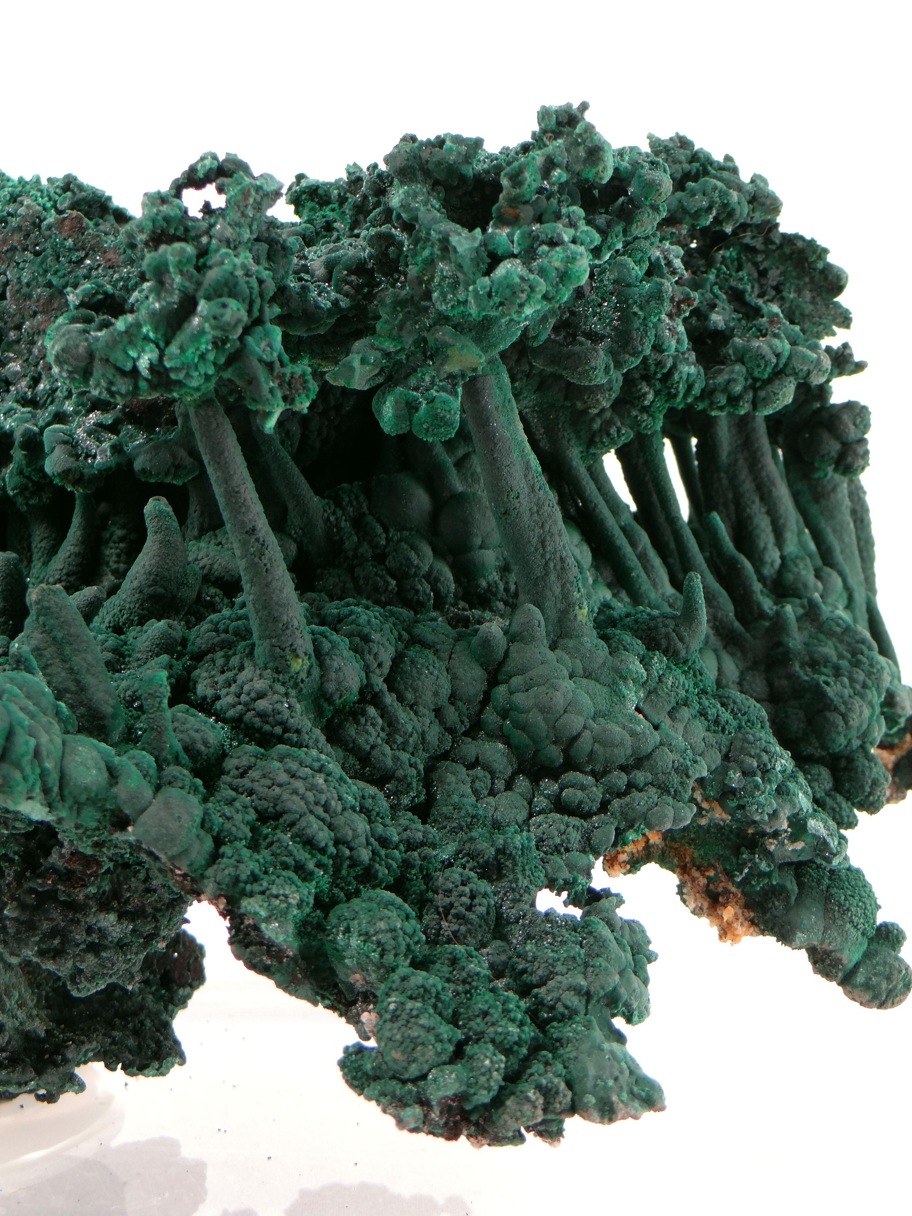 Congolese Important Malachite Stalactite from Congo, 1990 For Sale