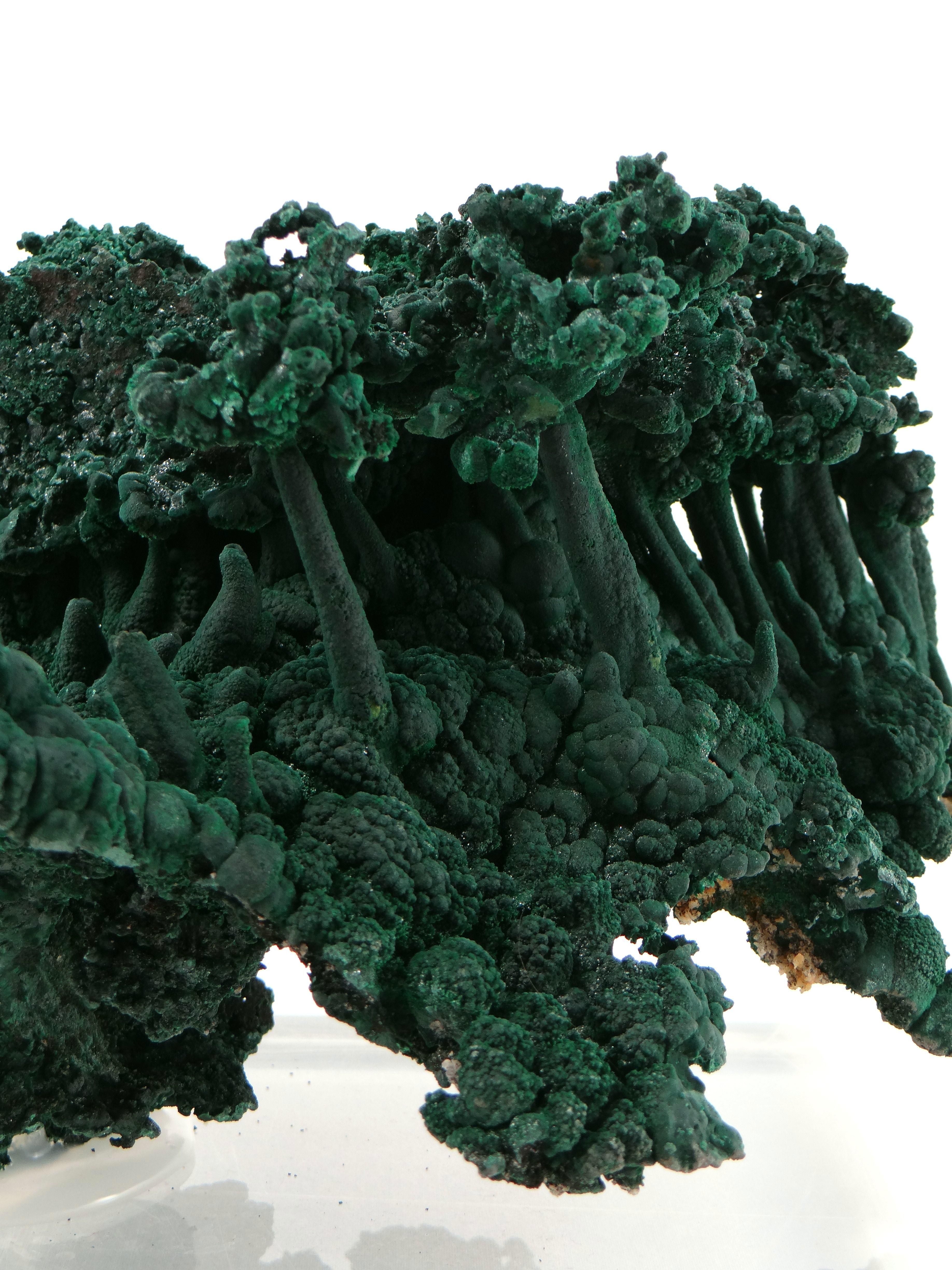 Late 20th Century Important Malachite Stalactite from Congo, 1990 For Sale