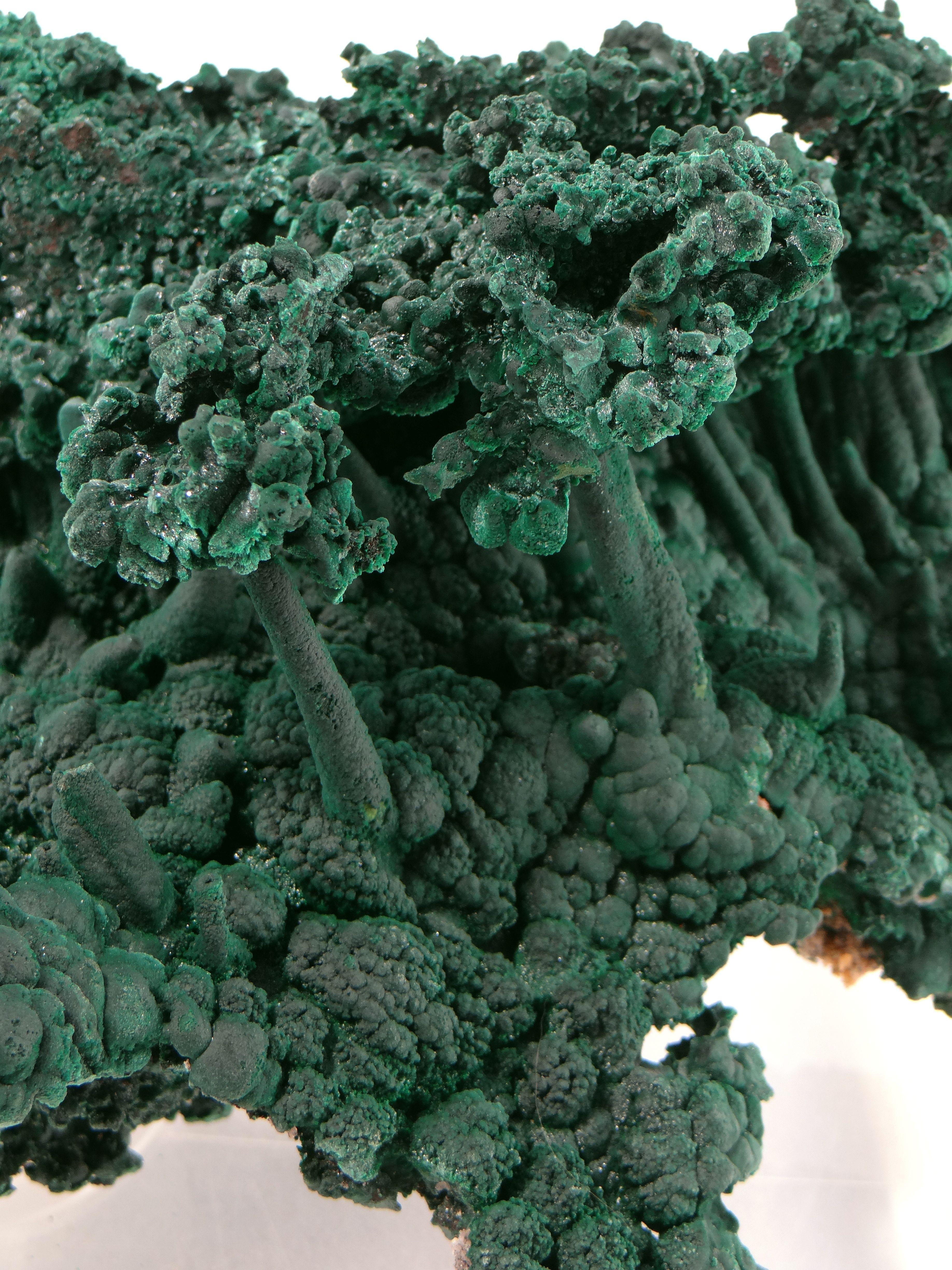 Important Malachite Stalactite from Congo, 1990 For Sale 2