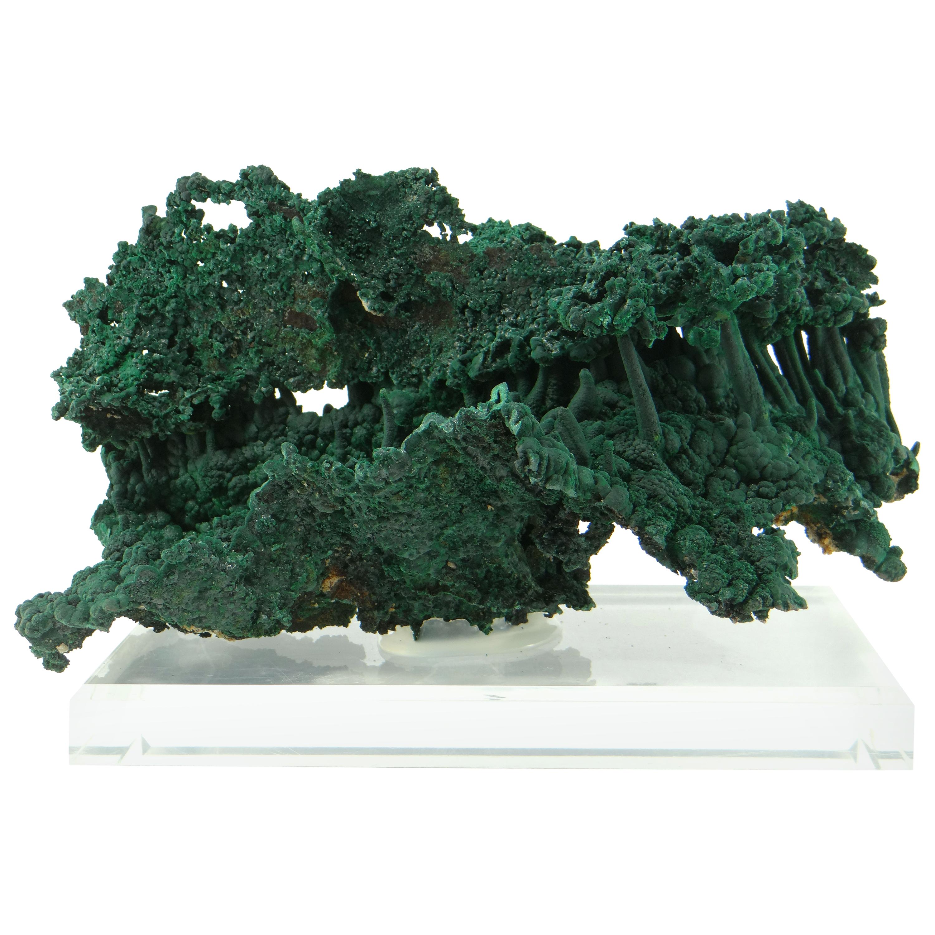 Important Malachite Stalactite from Congo, 1990 For Sale