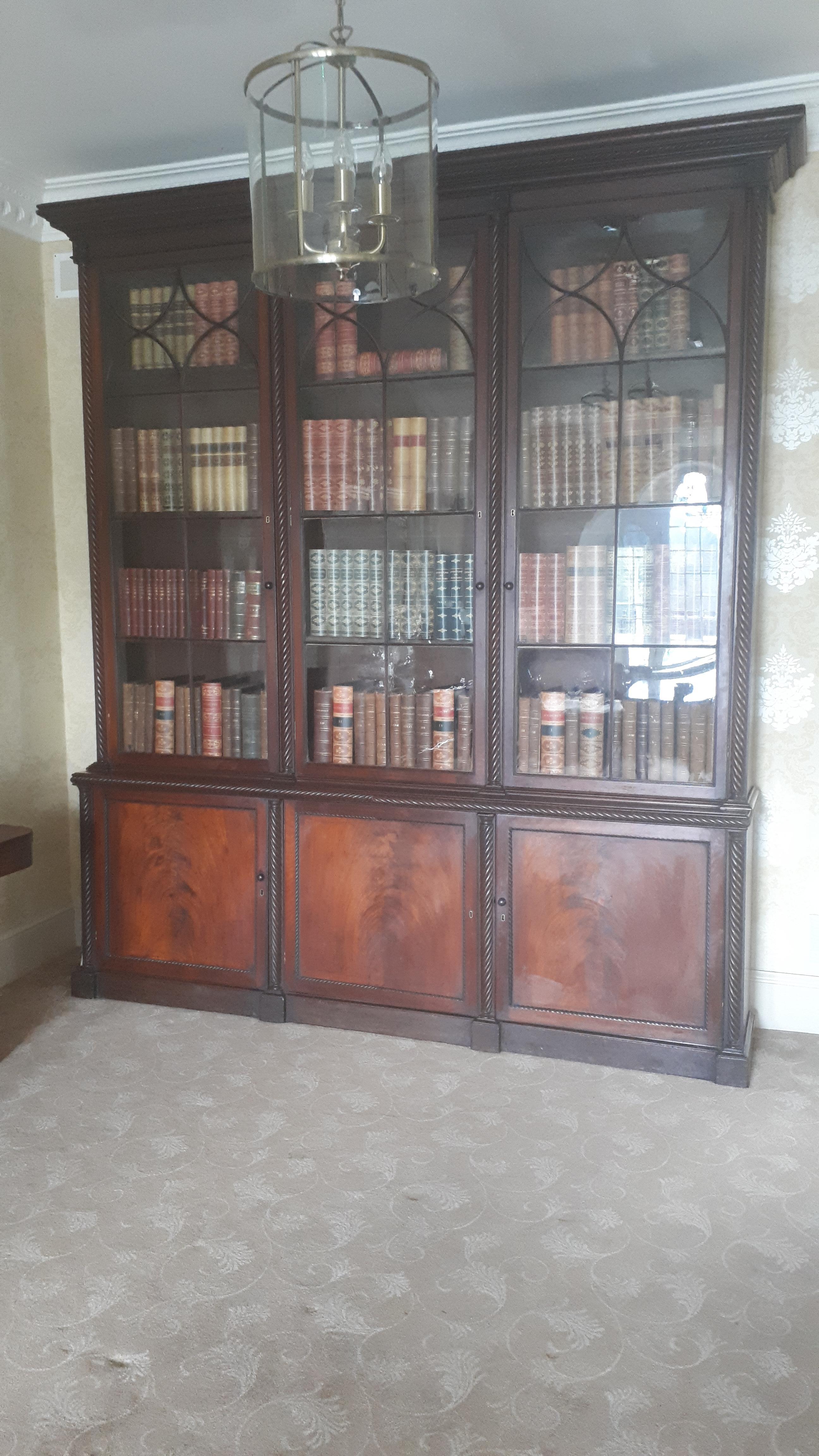 George III Important Monumental Irish Bookcase Attributed to Mack Williams & Gibton For Sale