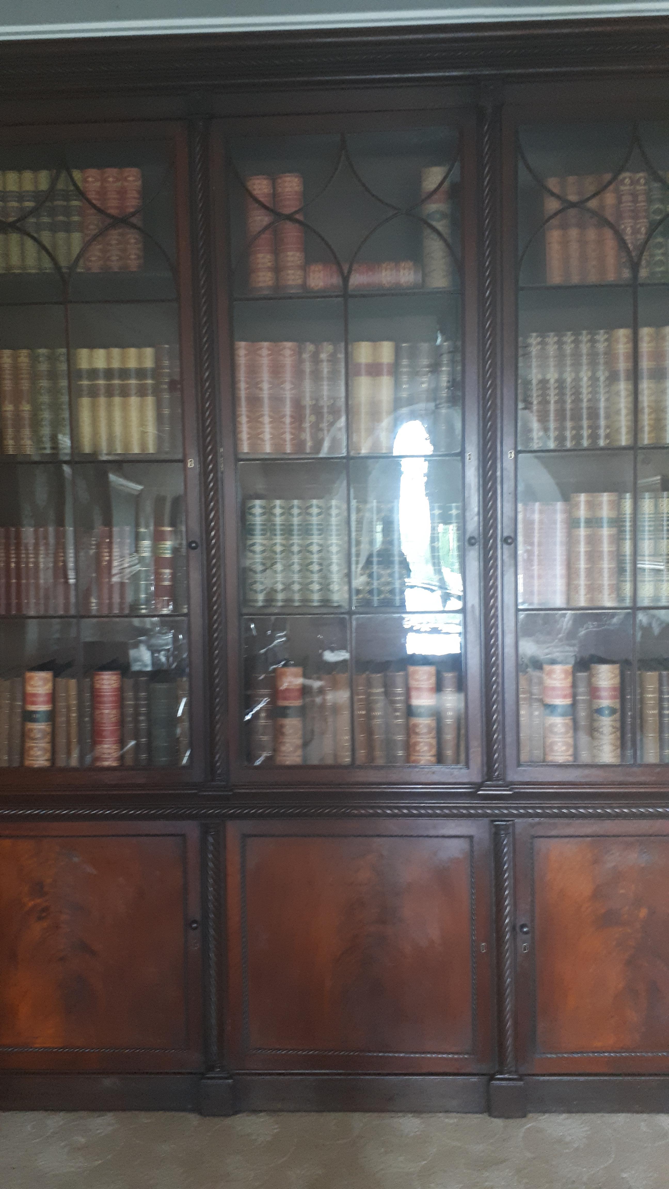 Important Monumental Irish Bookcase Attributed to Mack Williams & Gibton In Good Condition For Sale In Dromod, Co. Leitrim