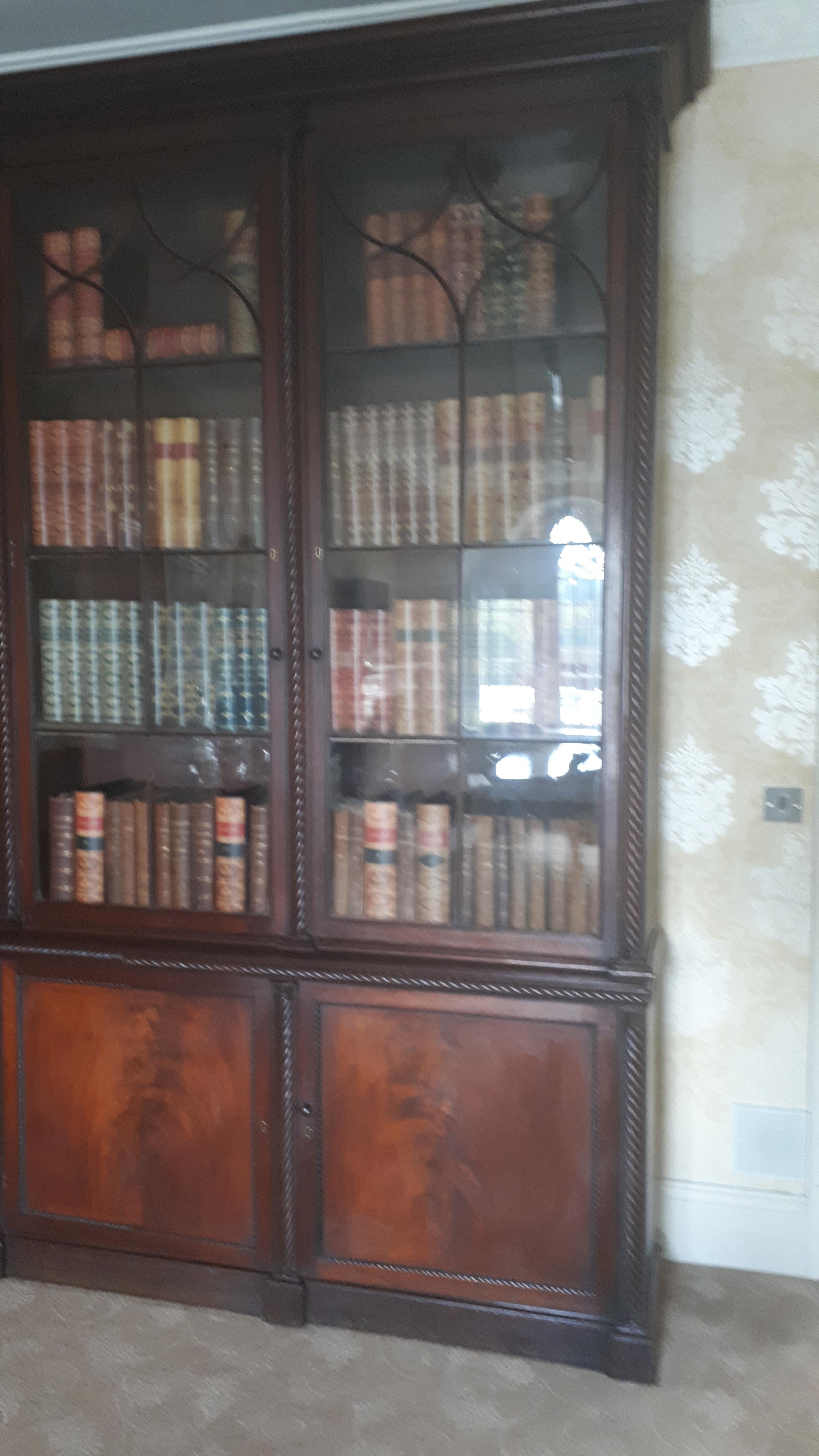 19th Century Important Monumental Irish Bookcase Attributed to Mack Williams & Gibton For Sale