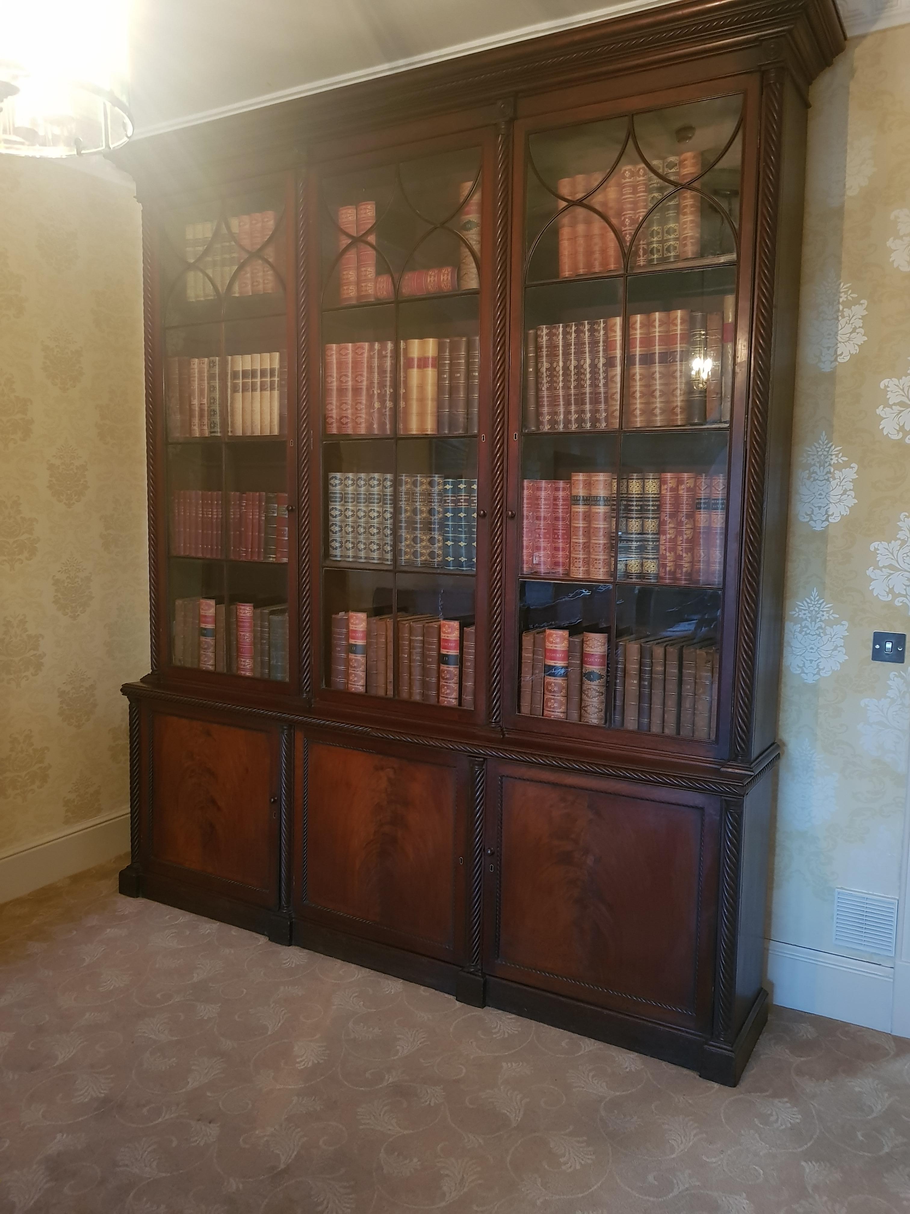 Mahogany Important Monumental Irish Bookcase Attributed to Mack Williams & Gibton For Sale