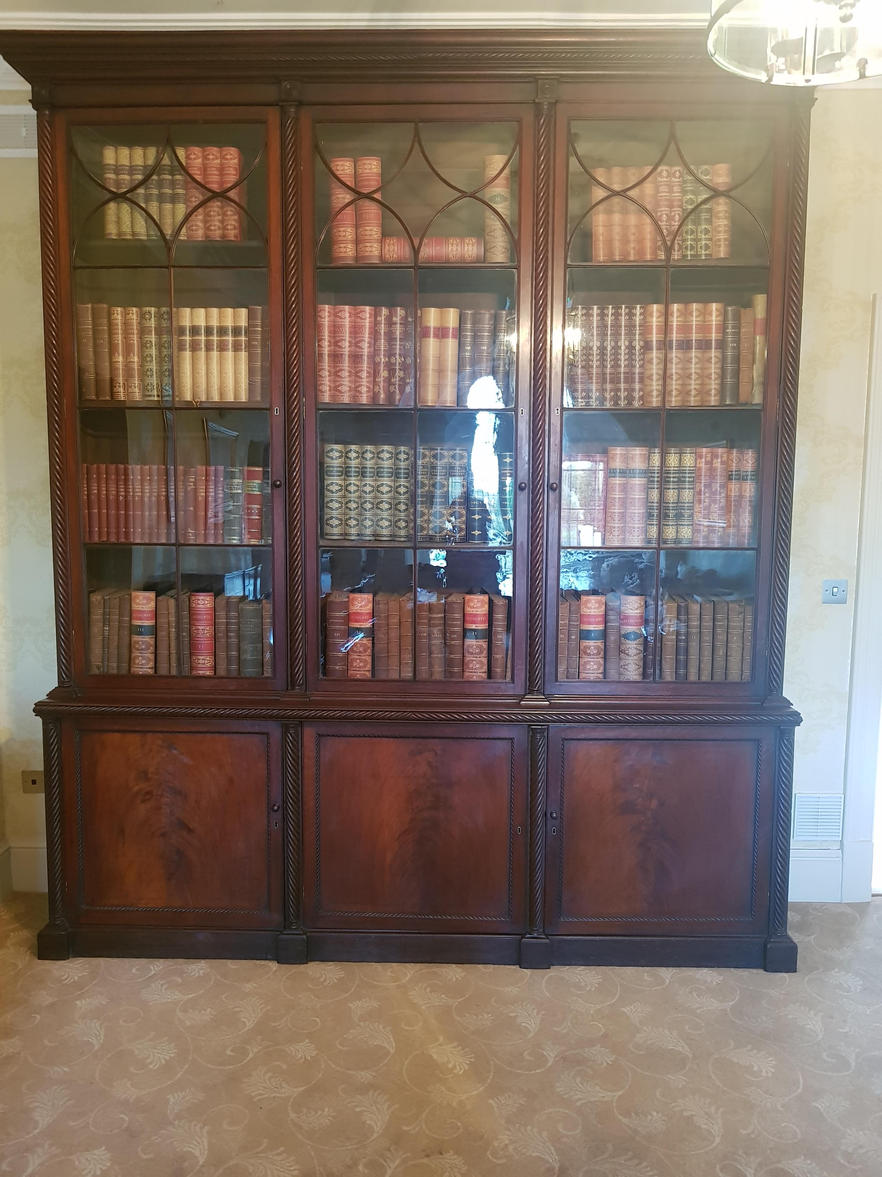 Important Monumental Irish Bookcase Attributed to Mack Williams & Gibton For Sale 1