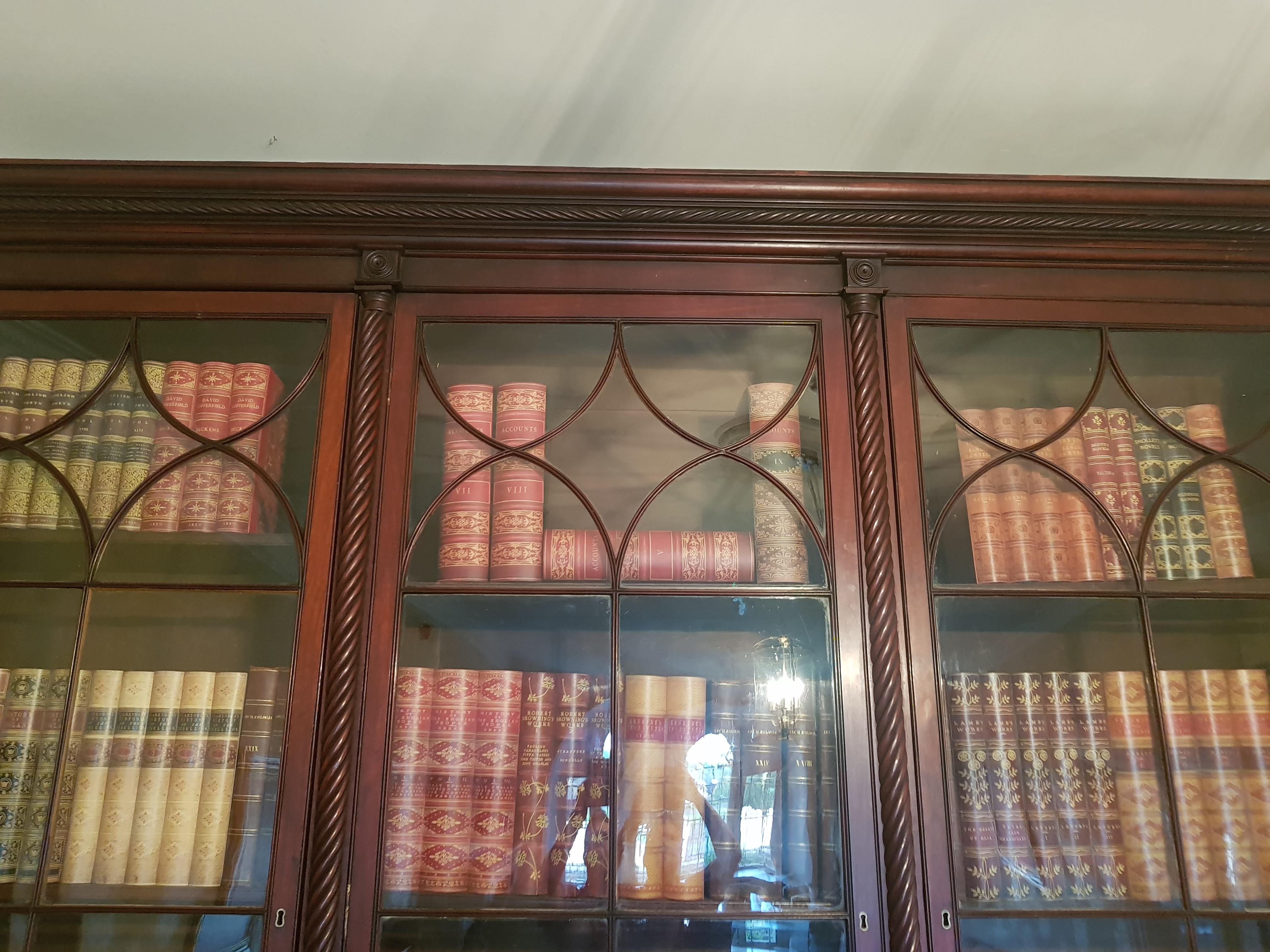 Important Monumental Irish Bookcase Attributed to Mack Williams & Gibton For Sale 3