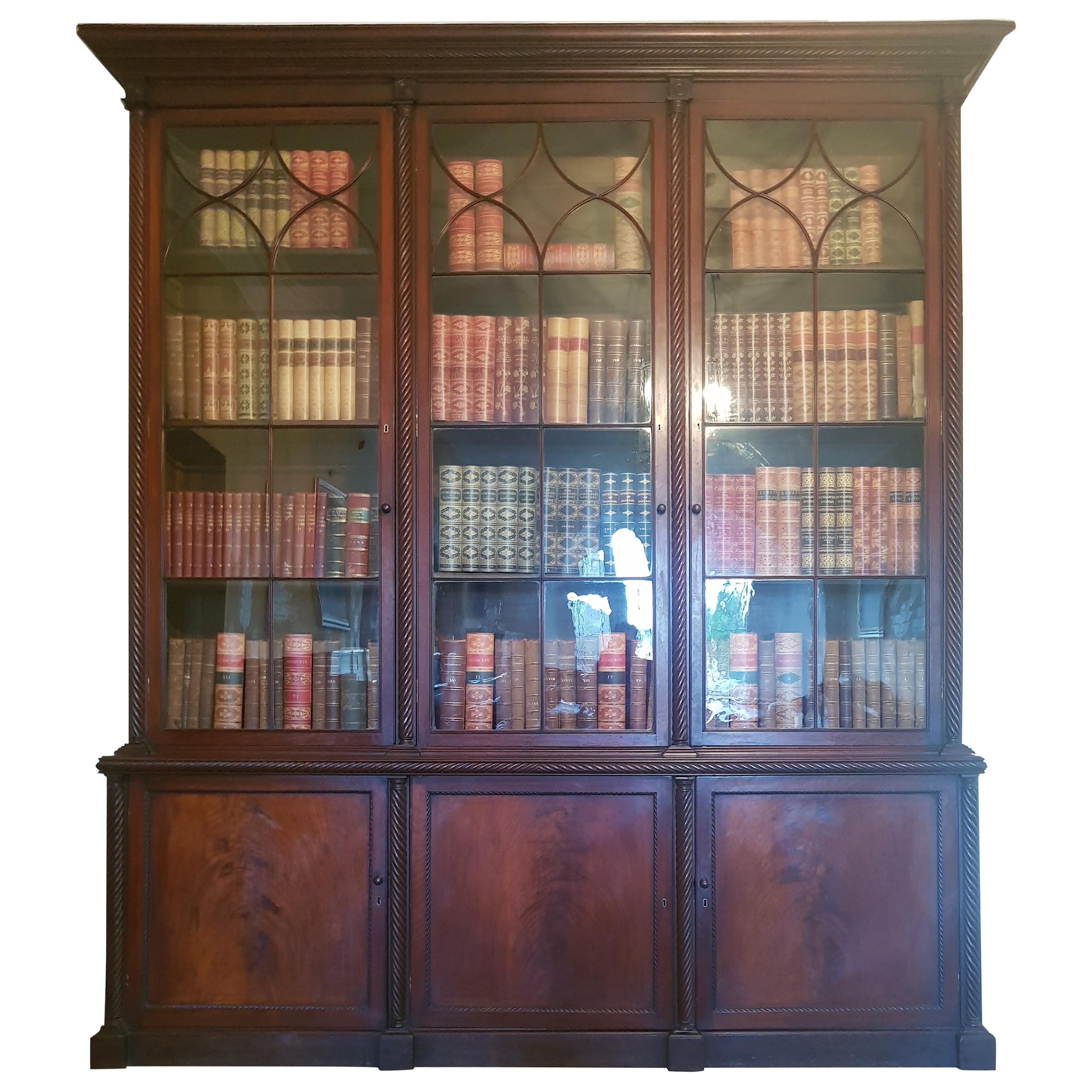 Important Monumental Irish Bookcase Attributed to Mack Williams & Gibton For Sale