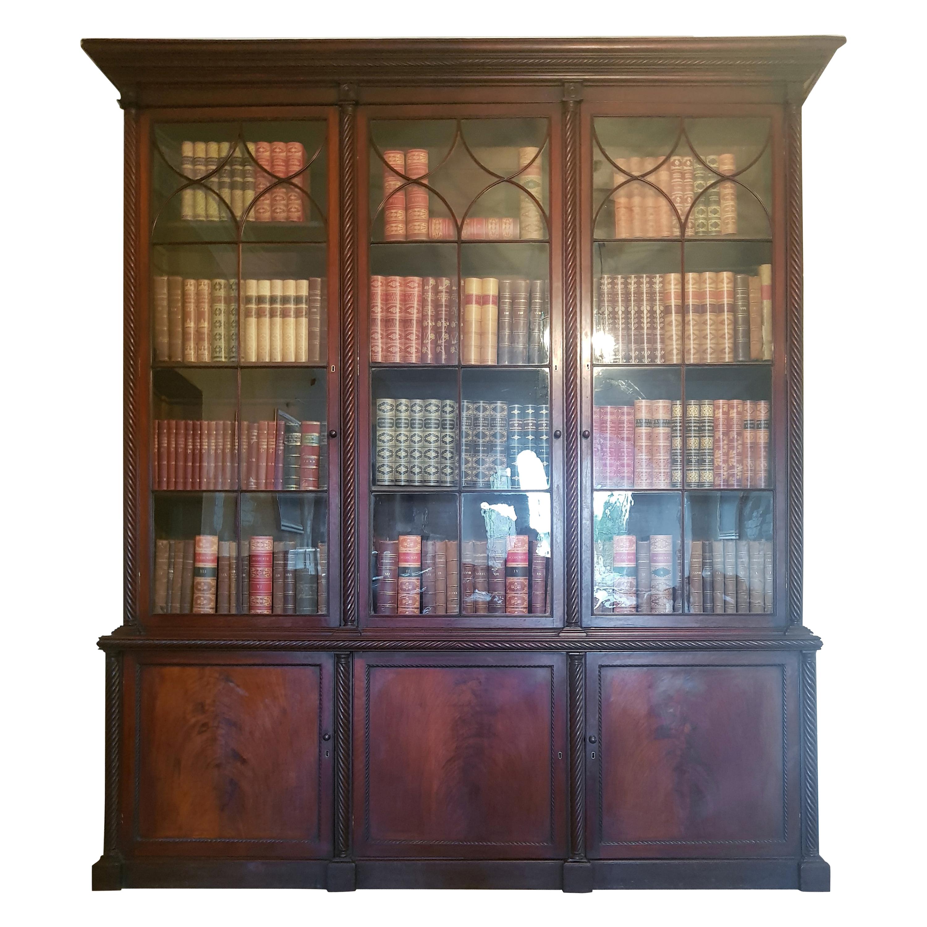 Important Monumental Irish Bookcase Attributed to Mack Williams & Gibton For Sale