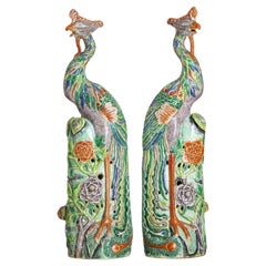 Antique Important Pair Chinese Peacocks 19th Century