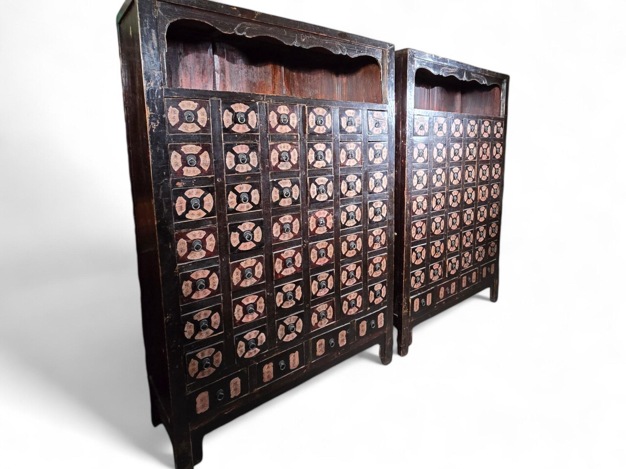 Important Pair of 19th-Century Chinese Pharmacy Cabinets For Sale 13