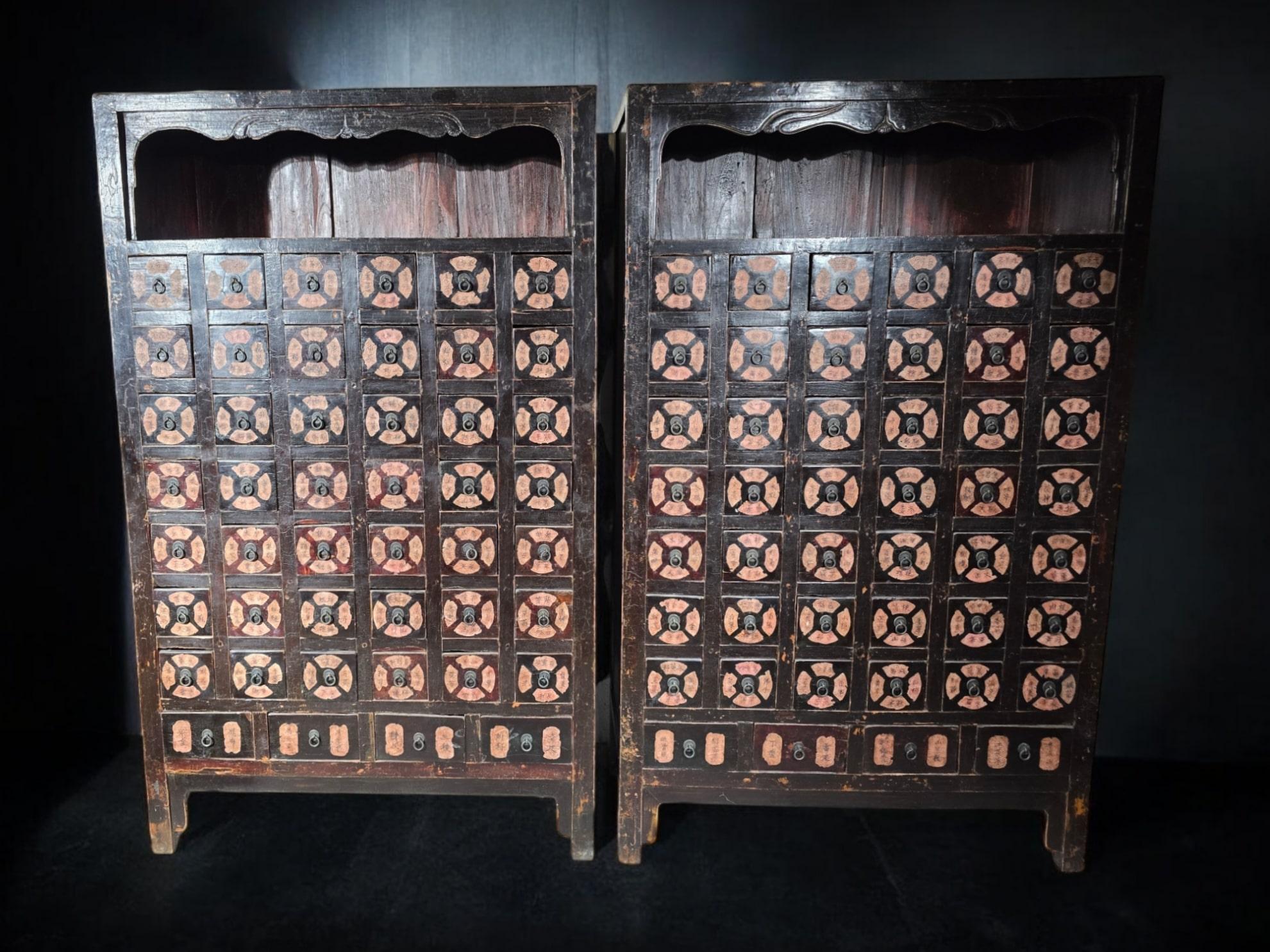 Fruitwood Important Pair of 19th-Century Chinese Pharmacy Cabinets For Sale