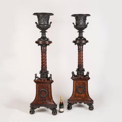 Important Pair of Georgian Period Vases on Bronze-Mounted Mahogany Pedestals