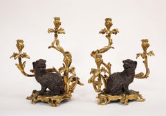 Important Pair of Louis XV French Ormolu 3 Light Candelabra w/ Chinese Foo Dogs