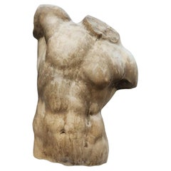Important Roman "Torso"in Carrara marble late 19th early 20th Century with Video