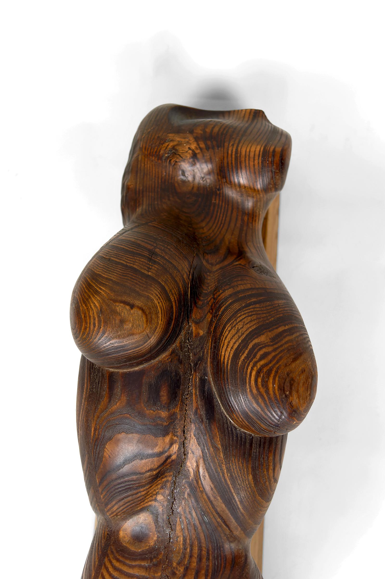Importante Escultura de un Cuerpo Femenino, Cedro y Roble, Brutalismo, Francia, Años 70 en venta 6