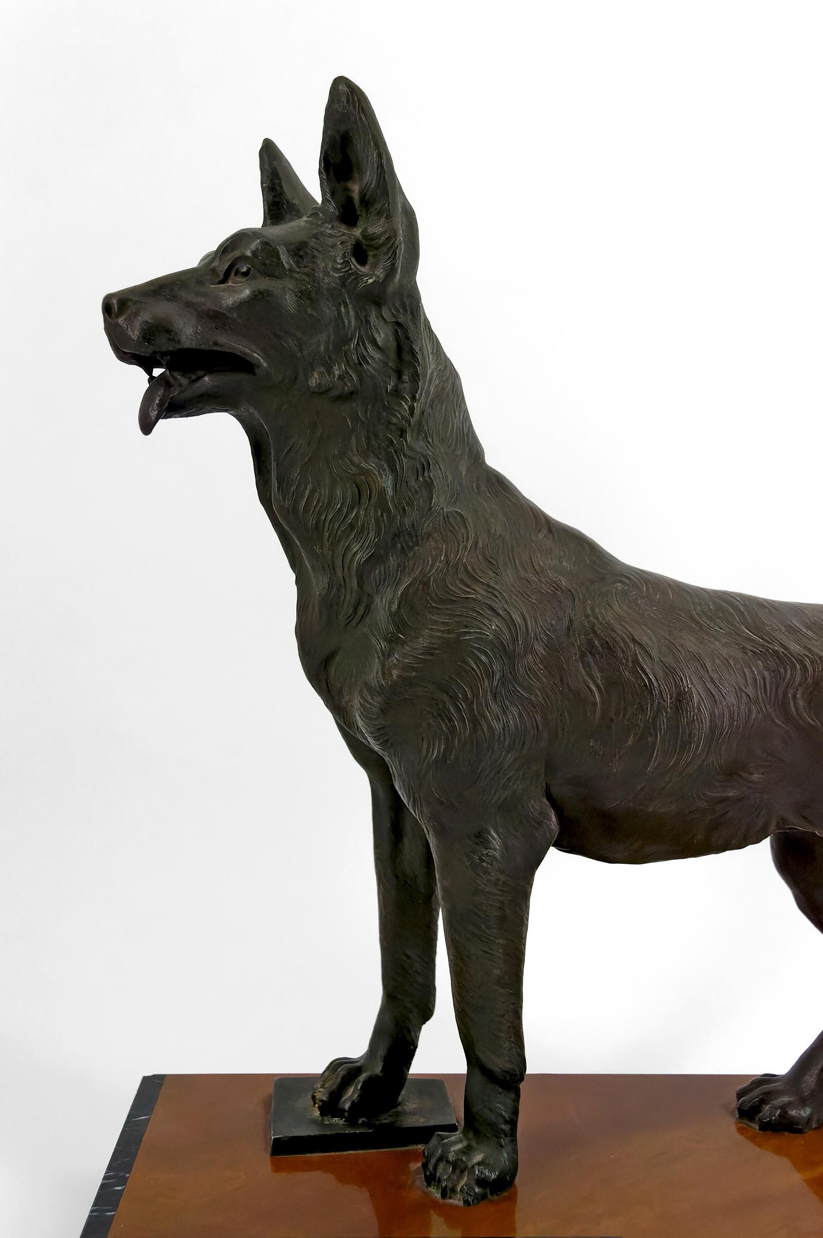 Importante scultura di un pastore tedesco, Trofeo per la sfida di Perrier, 1942 in vendita 3