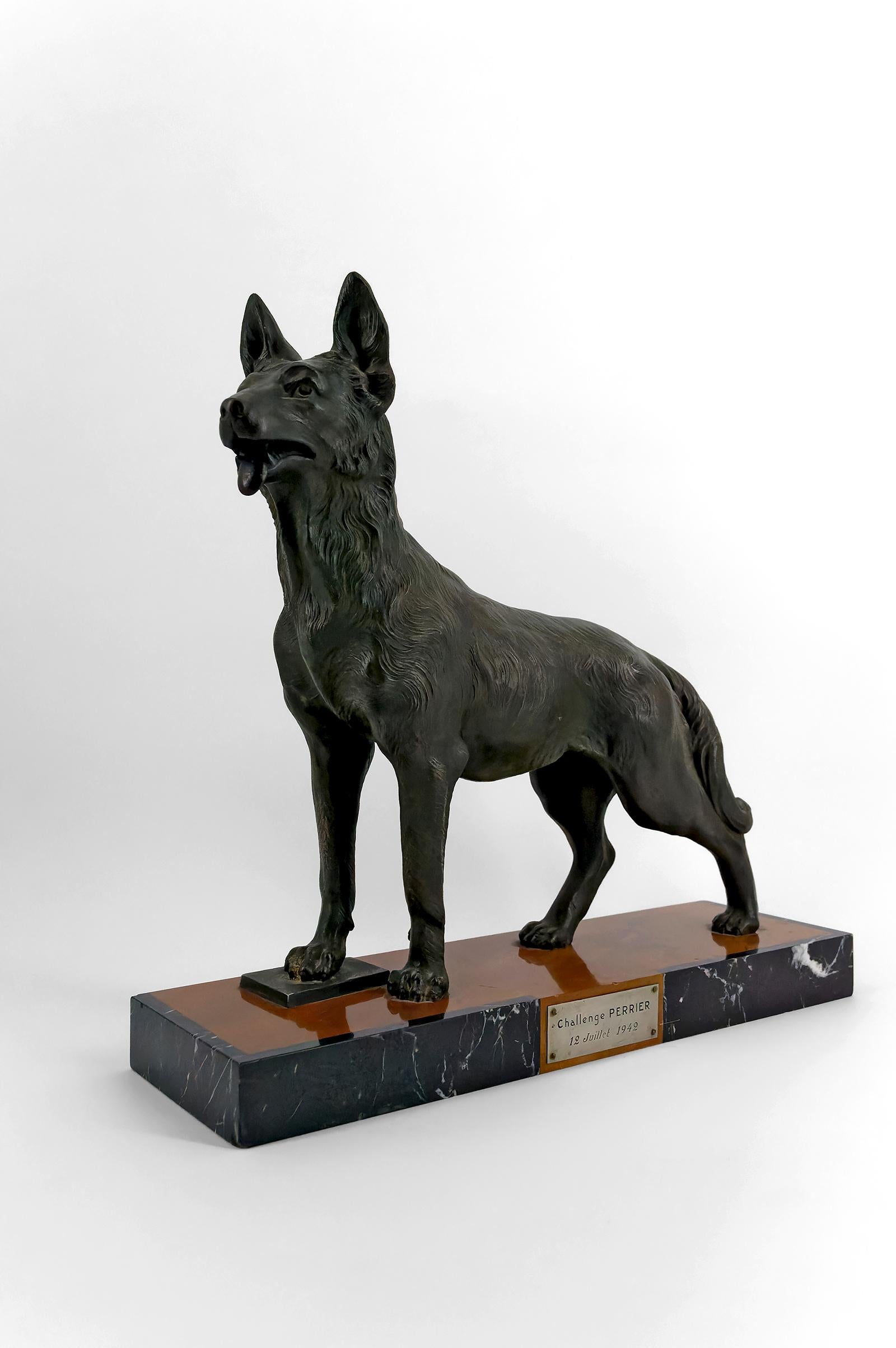 Importante scultura di un pastore tedesco, Trofeo per la sfida di Perrier, Francia, 1942.

Siamo lieti di presentare un pezzo eccezionale che piacerà ai collezionisti più esigenti: un'importante scultura in spelta che rappresenta un pastore tedesco,