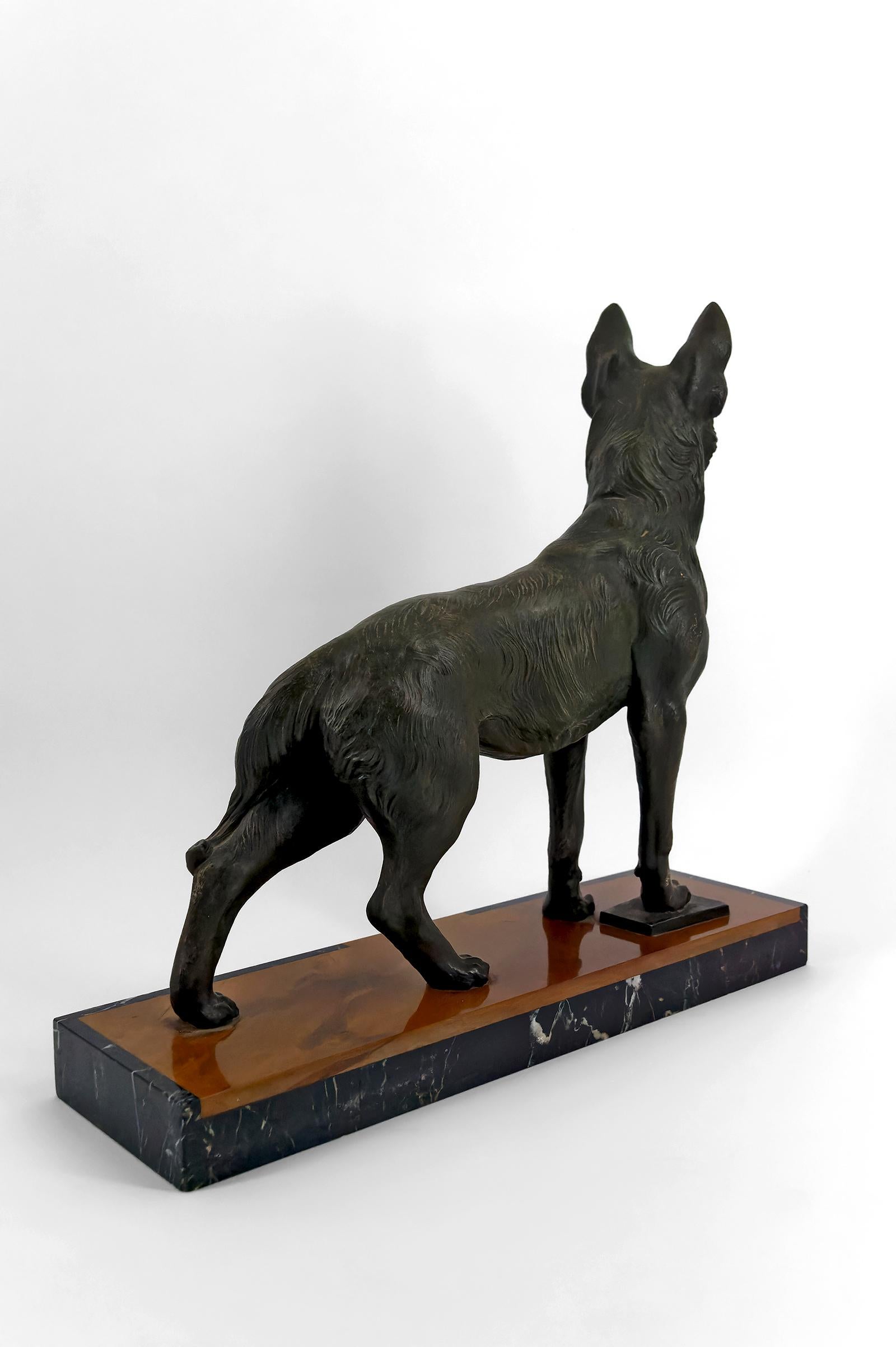 Bronzato Importante scultura di un pastore tedesco, Trofeo per la sfida di Perrier, 1942 in vendita