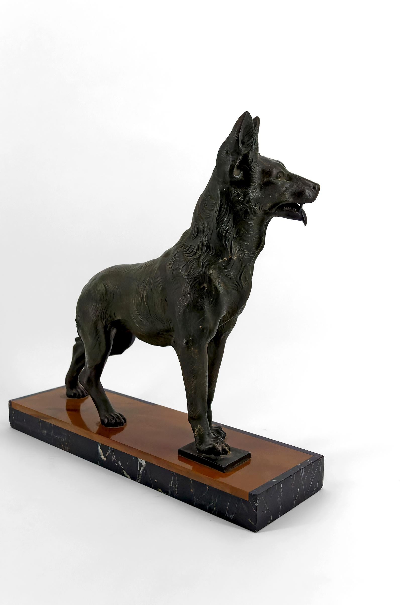 Importante scultura di un pastore tedesco, Trofeo per la sfida di Perrier, 1942 In condizioni buone in vendita a VÉZELAY, FR