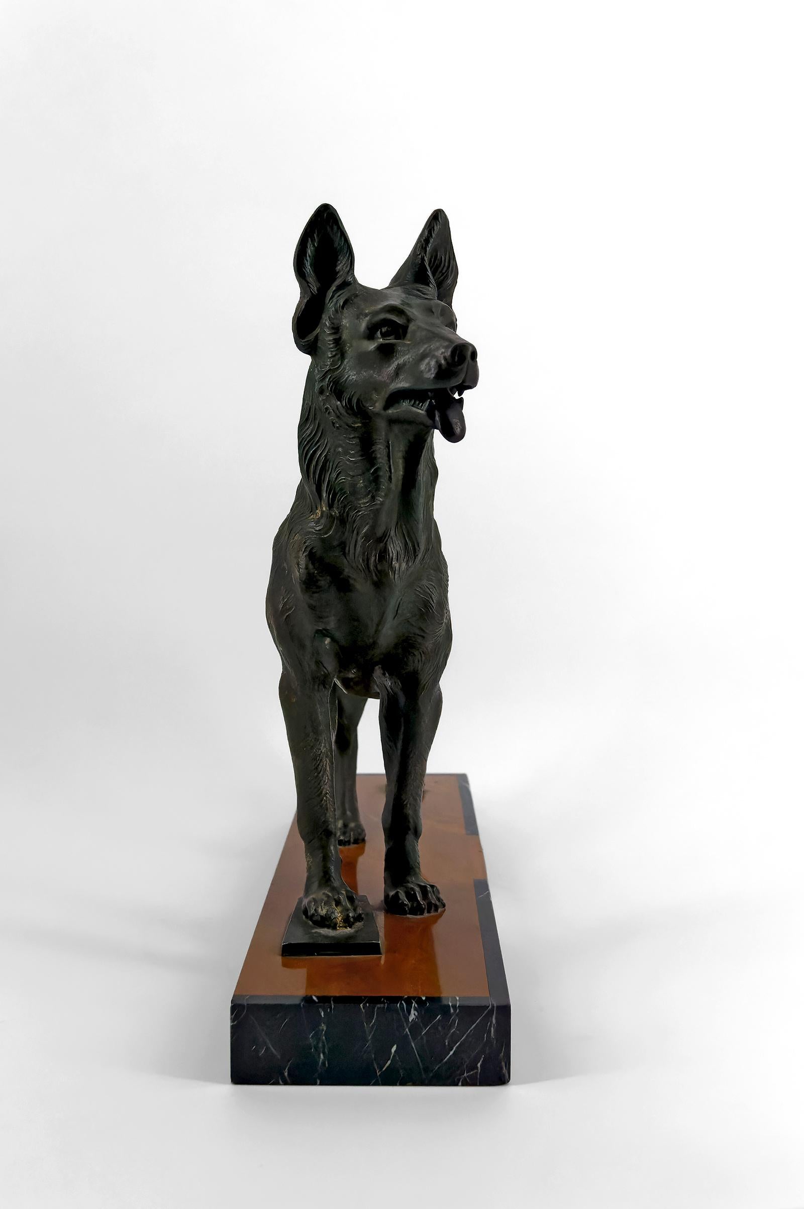 Metà XX secolo Importante scultura di un pastore tedesco, Trofeo per la sfida di Perrier, 1942 in vendita