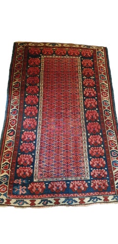 Important Seikhour Rug from Russia , 19th Century - N° 640