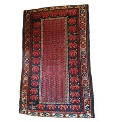 Antique 640 - Important Seikhour Rug from Russia , 19th Century