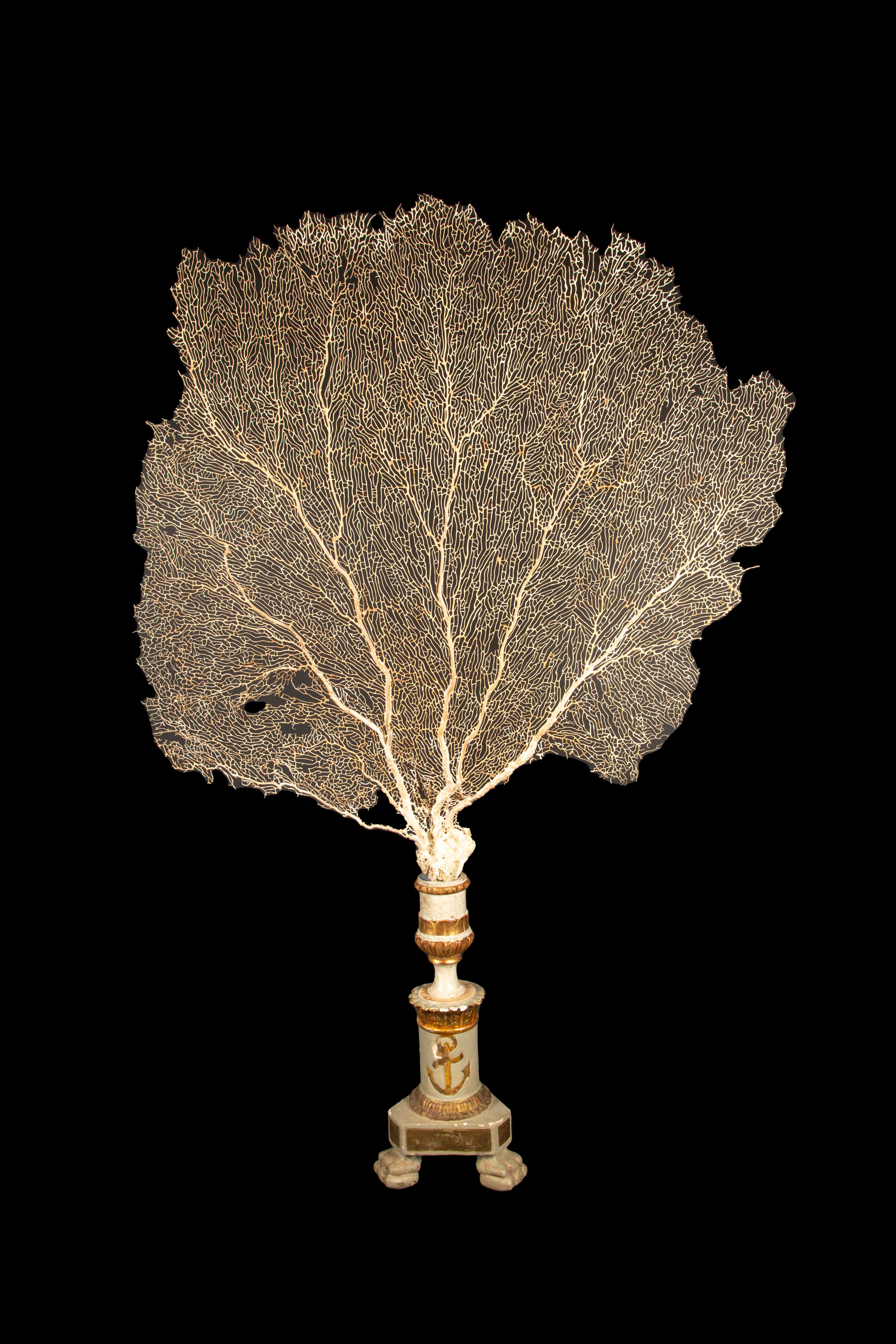 This striking and unusual piece showcases a large, natural sea fan meticulously mounted on an impressive 19th-century gilt sailor’s pricket, standing an impressive 62