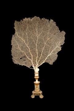 Imposing 19th-Century Gilt Sailor's Pricket with Mounted Natural Sea Fan- 62"H