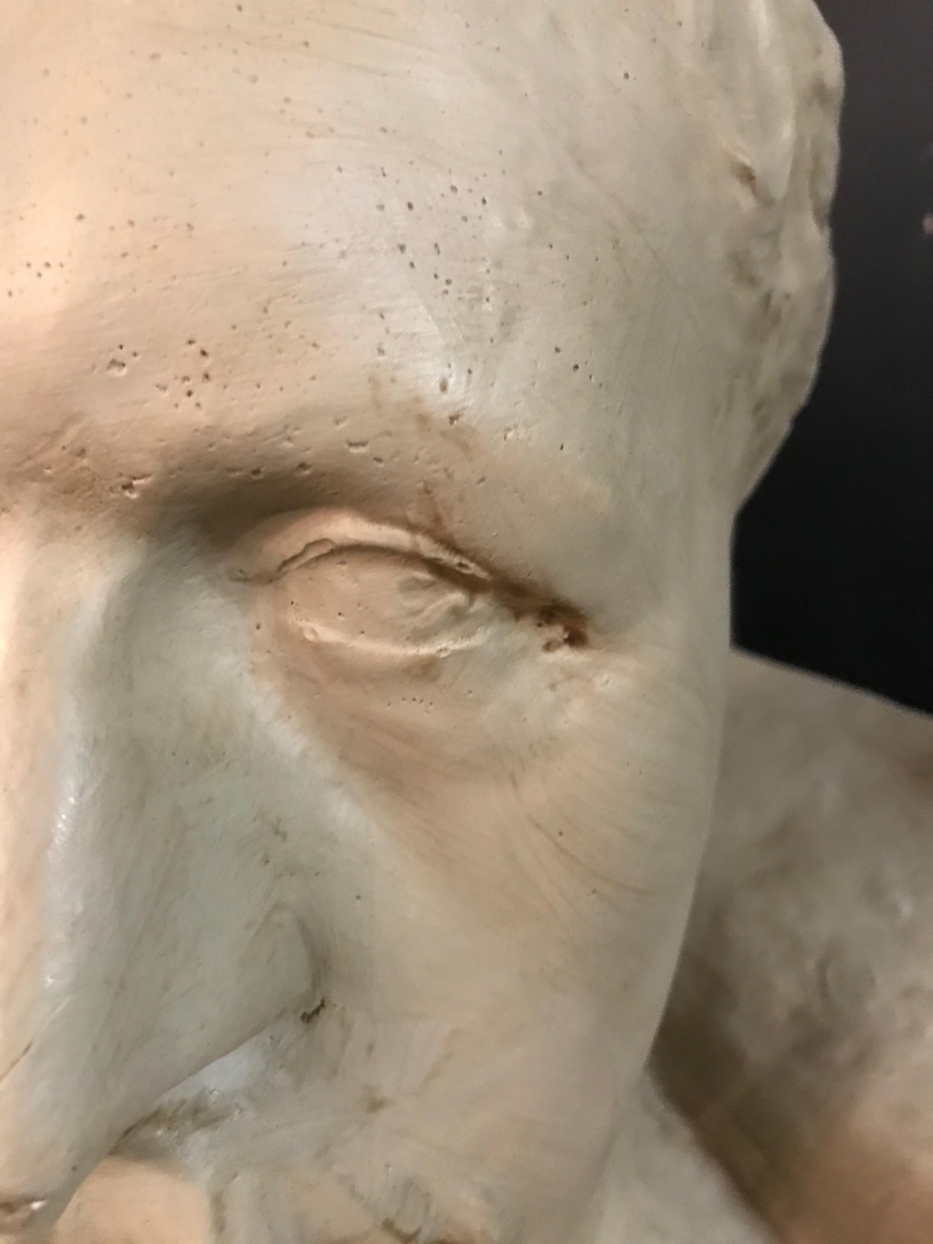 Imposing Bust from the 19th Century of King Albert the First of Belgium 4