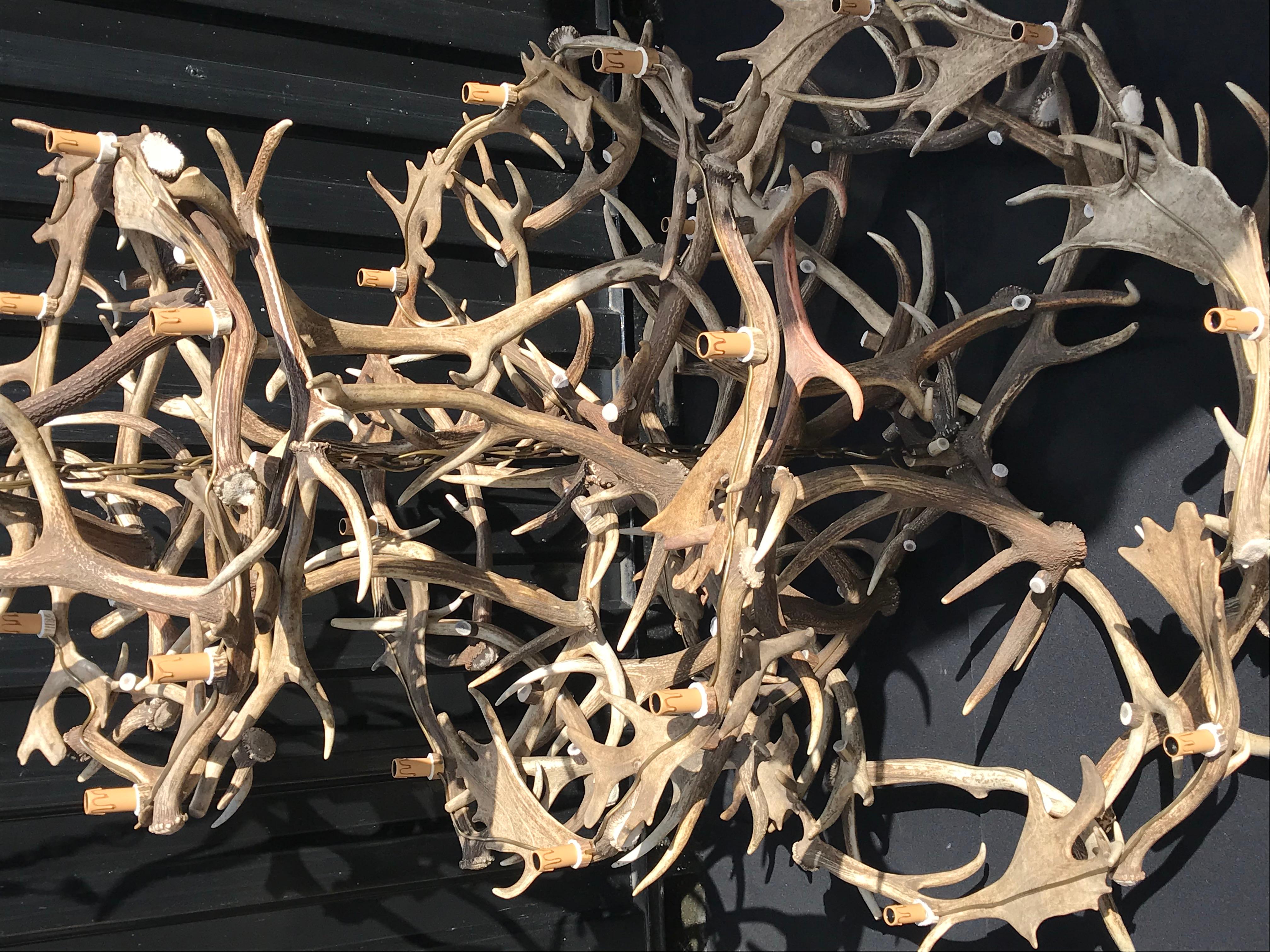 Imposing Chandelier Made of Antlers In Good Condition In Eindhoven, NL