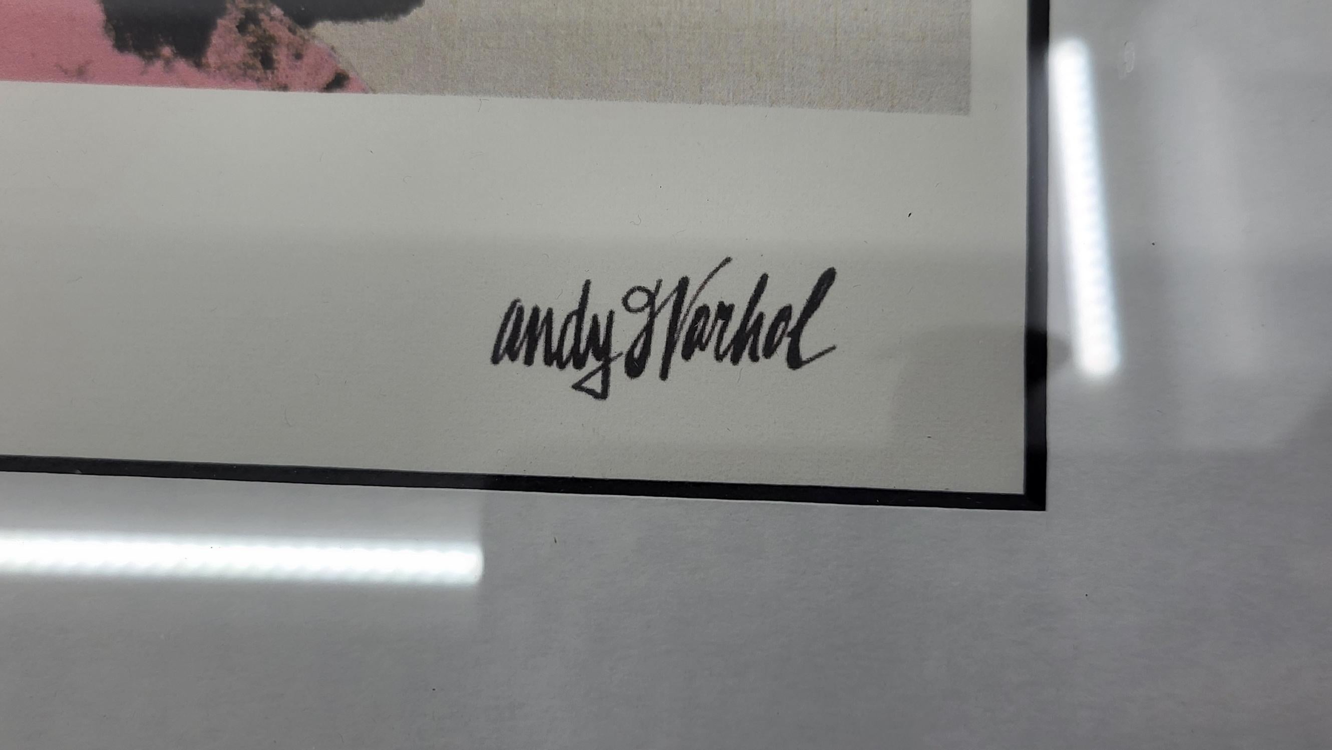 Abdruck Offset Andy Warhol 